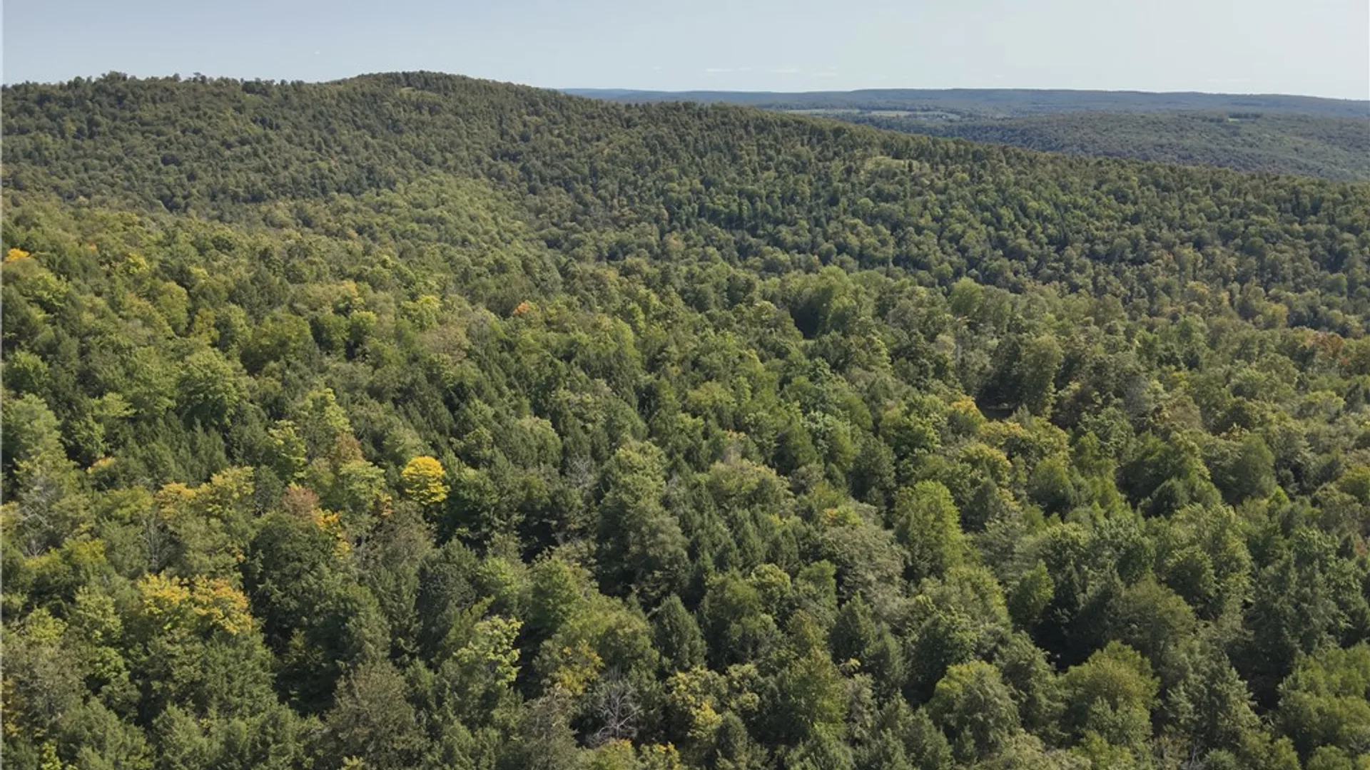 Property at 0 Alma Hill Road, Alma, NY 14895 13