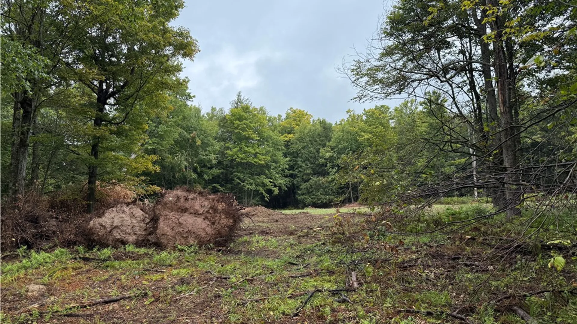 Property at 0 Alma Hill Road, Alma, NY 14895 3