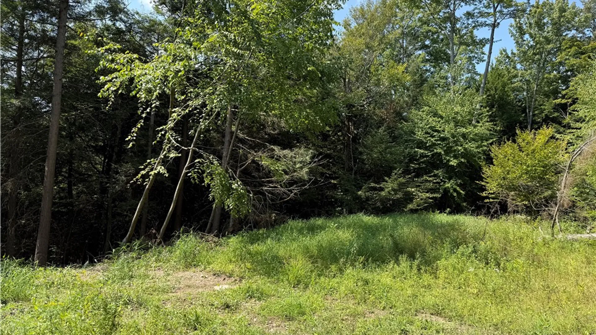 Property at 0 Alma Hill Road, Alma, NY 14895 6