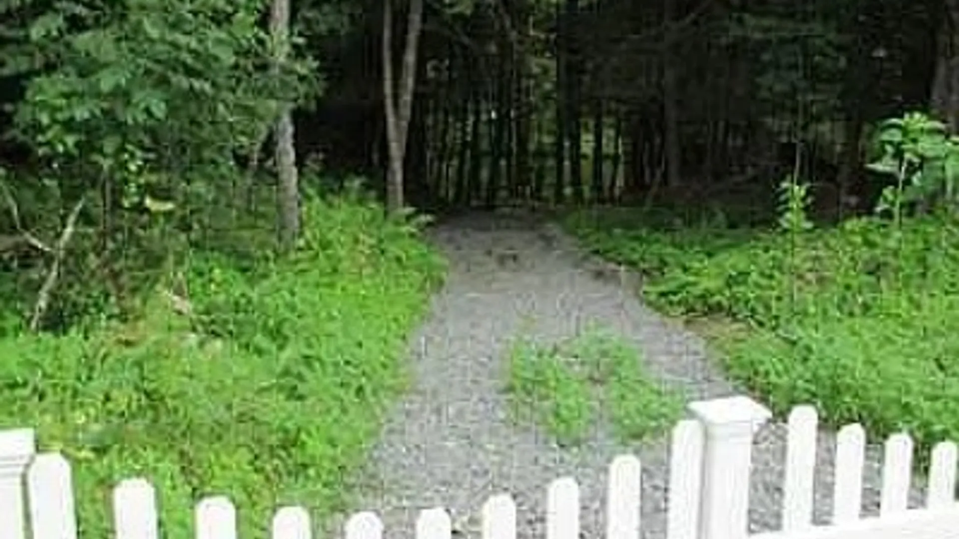 Property at 6355 State Route 42, Fallsburg, NY 12788 16