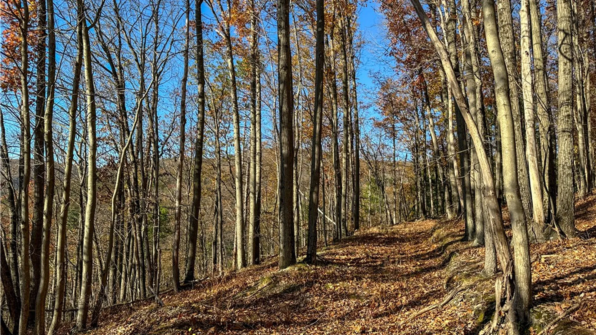 Property at VL Lot 3 Oregon Rd, Canisteo, NY 14823 10
