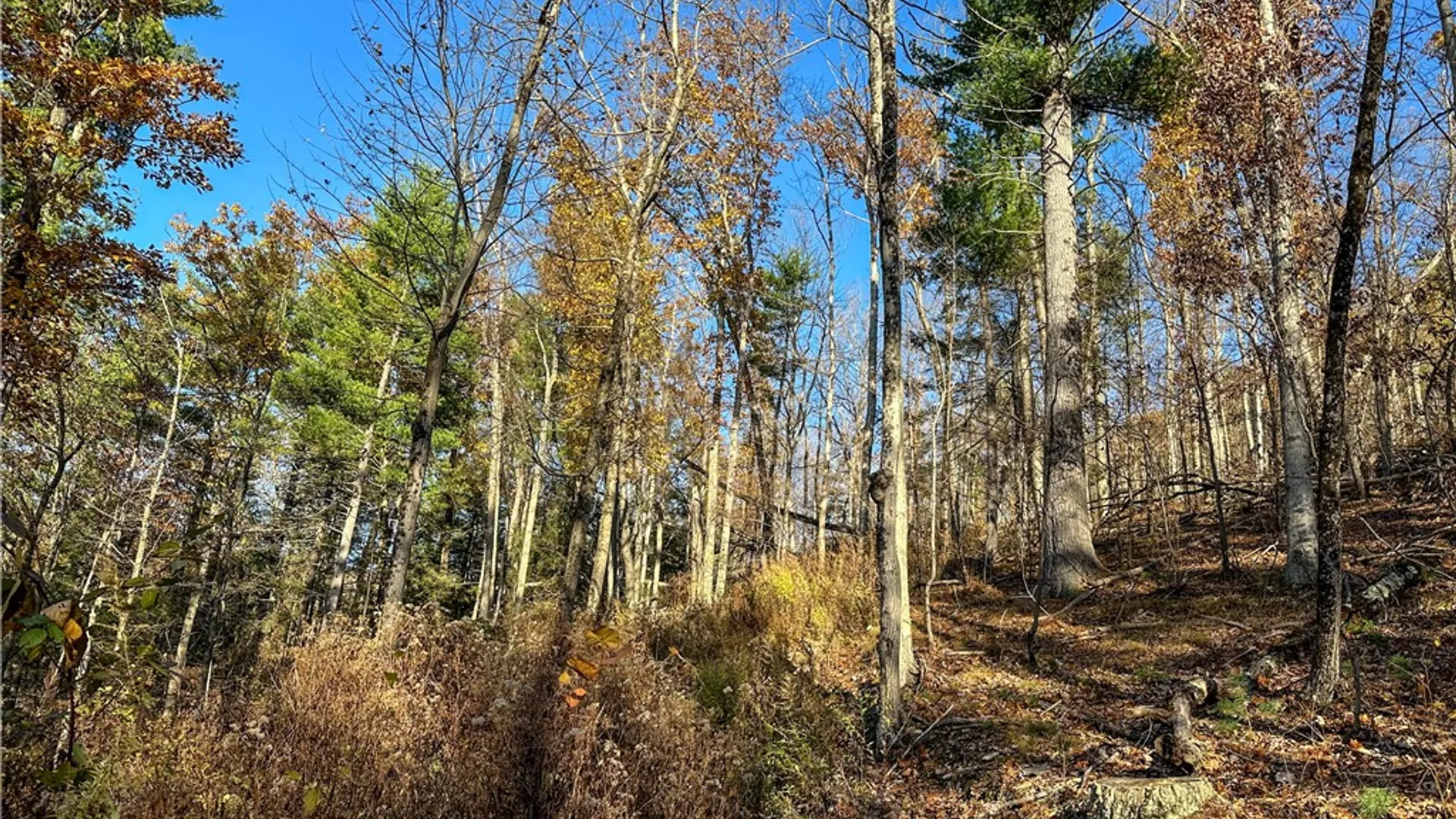Property at VL Lot 3 Oregon Rd, Canisteo, NY 14823 11