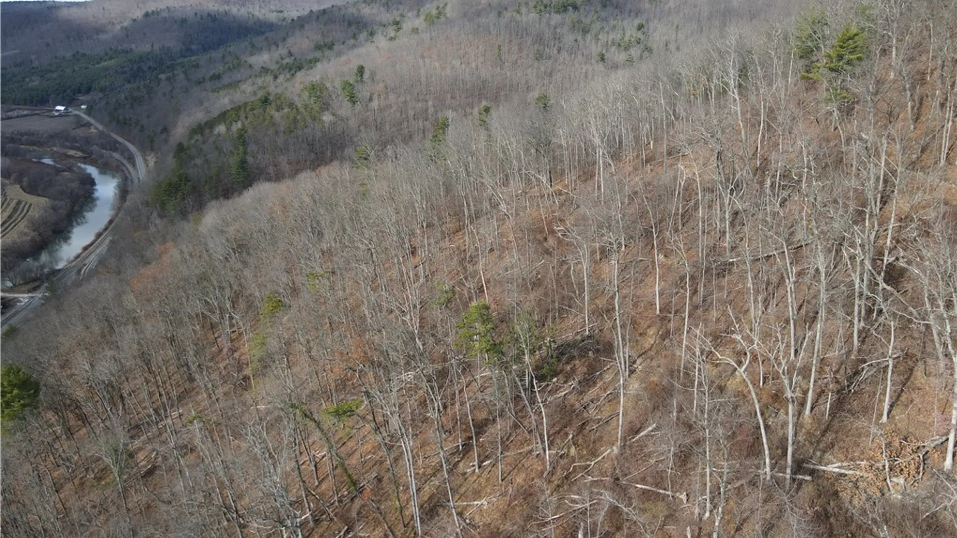 Property at VL Lot 3 Oregon Rd, Canisteo, NY 14823 12