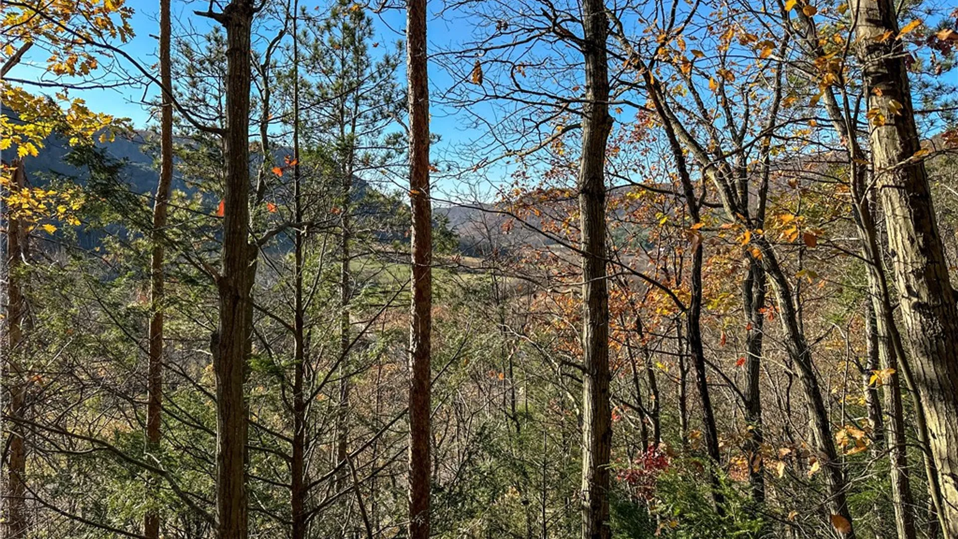 Property at VL Lot 3 Oregon Rd, Canisteo, NY 14823 13