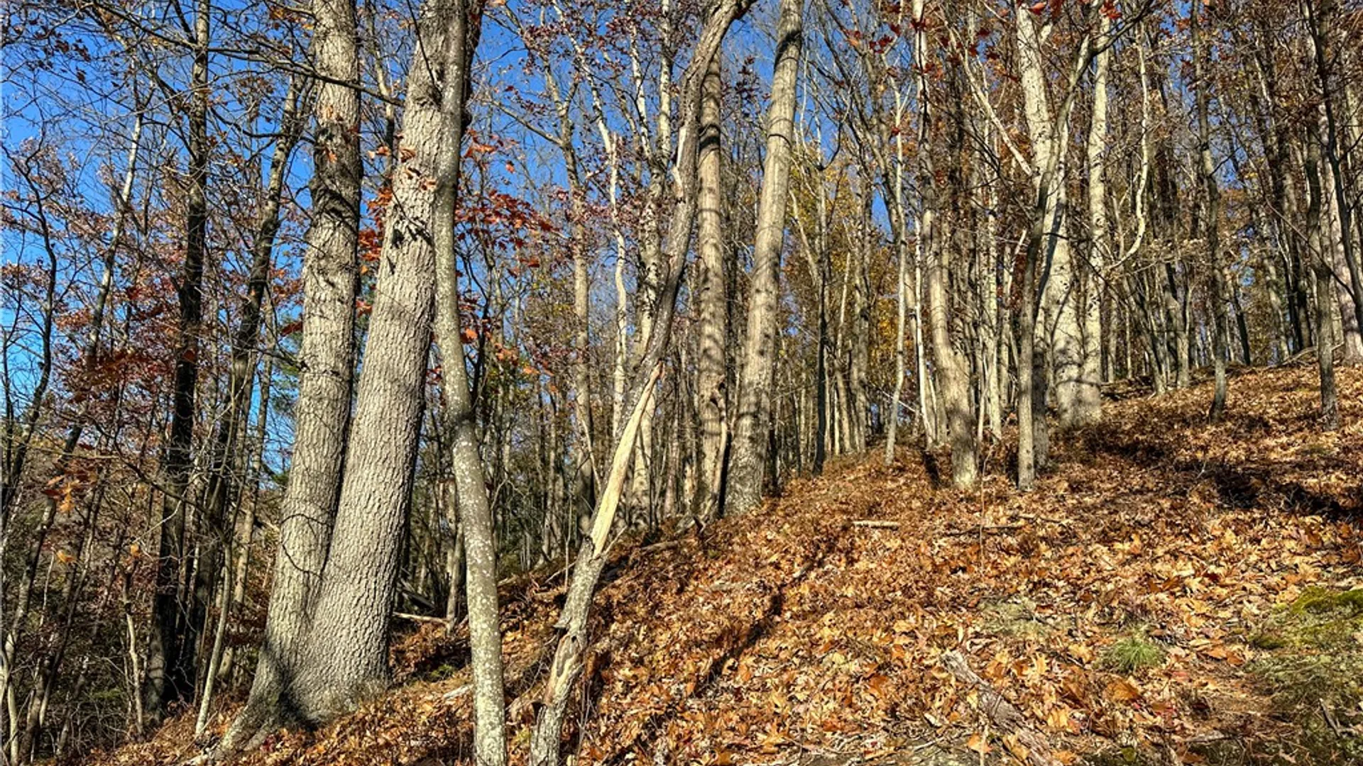 Property at VL Lot 3 Oregon Rd, Canisteo, NY 14823 14