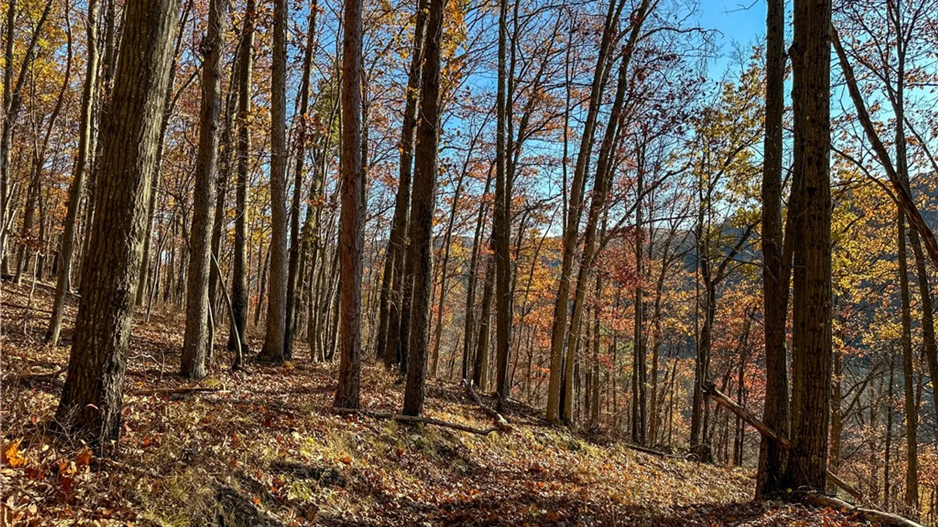 Property at VL Lot 3 Oregon Rd, Canisteo, NY 14823 16