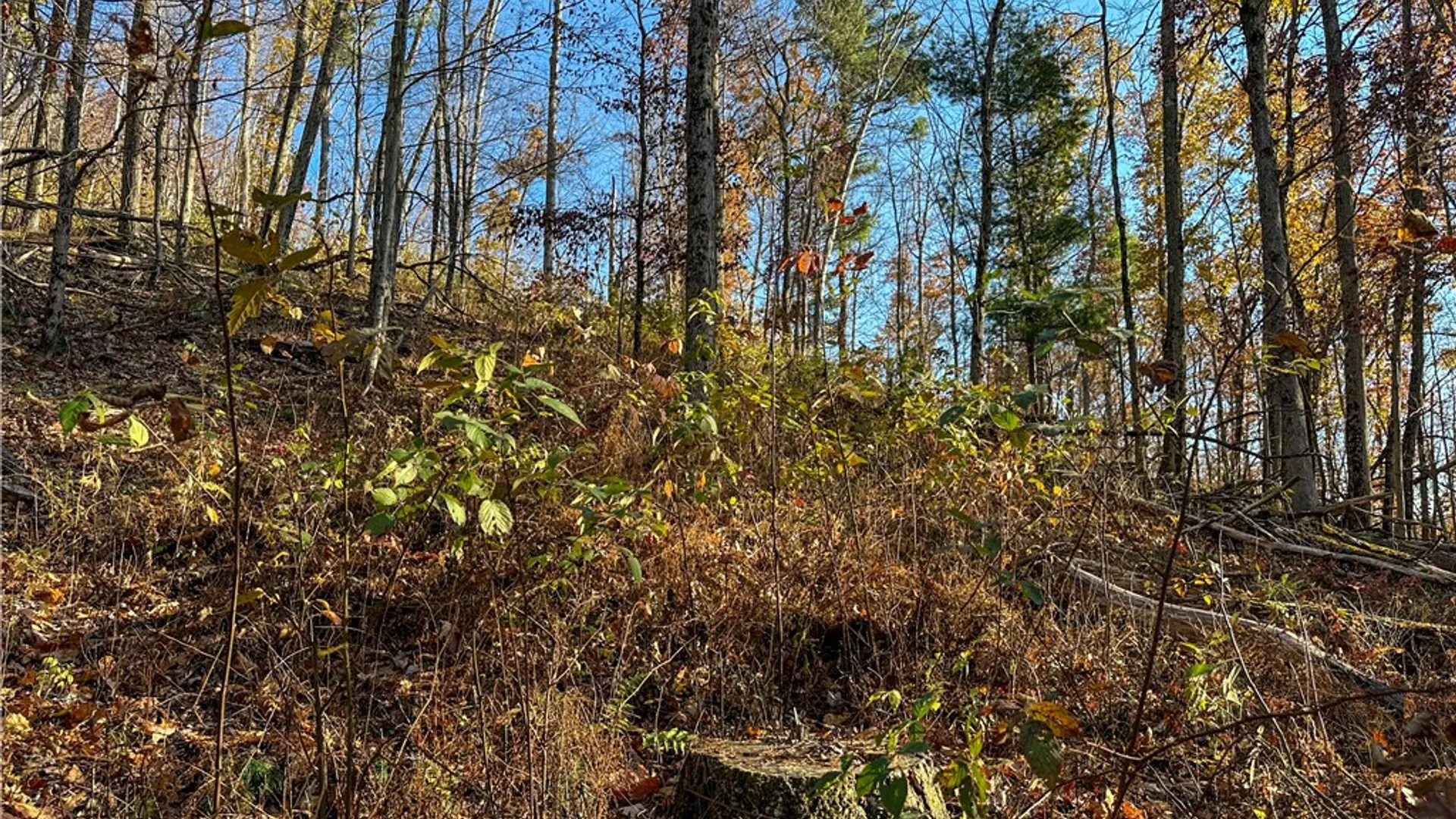 Property at VL Lot 3 Oregon Rd, Canisteo, NY 14823 17