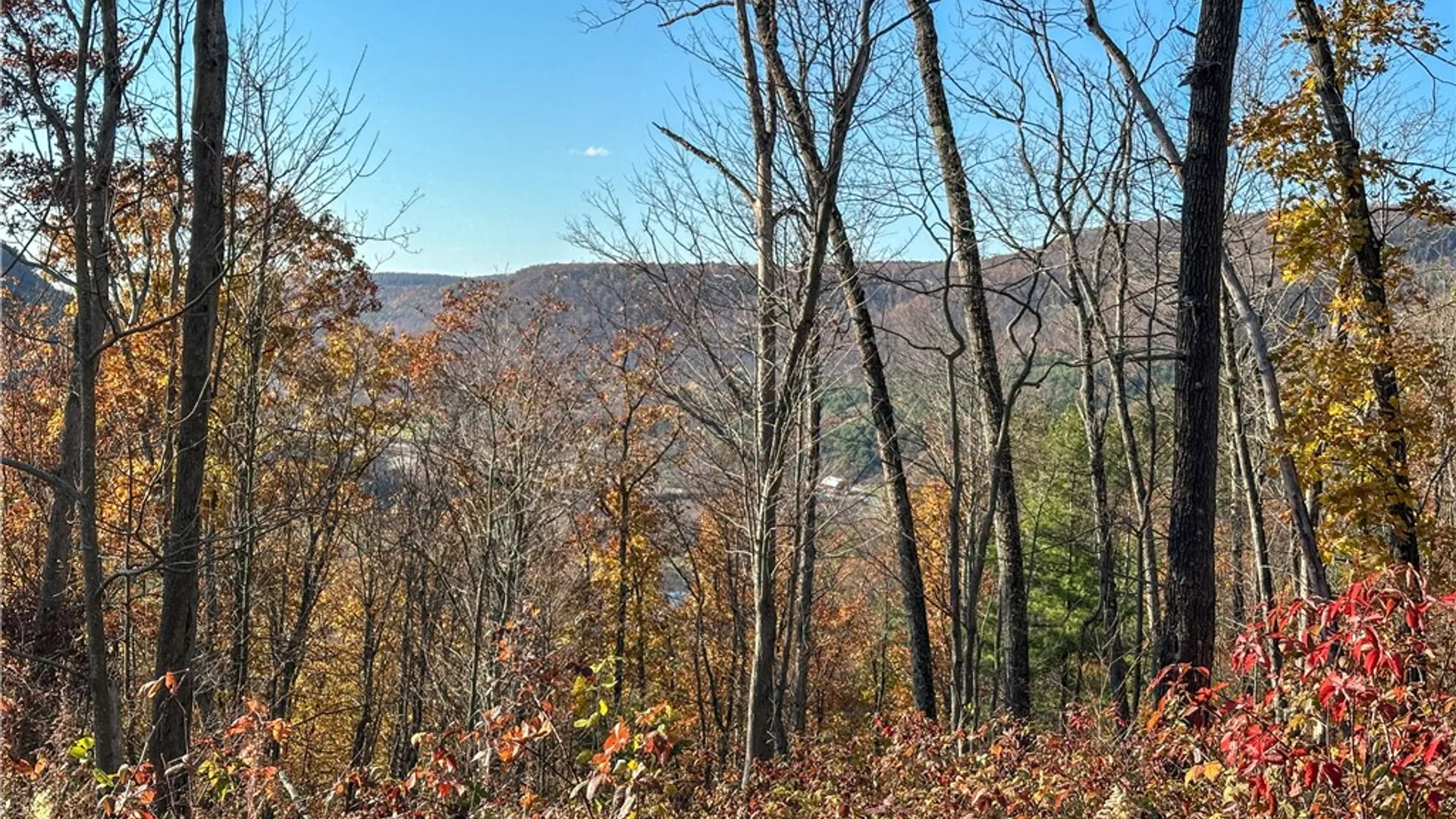 Property at VL Lot 3 Oregon Rd, Canisteo, NY 14823 18