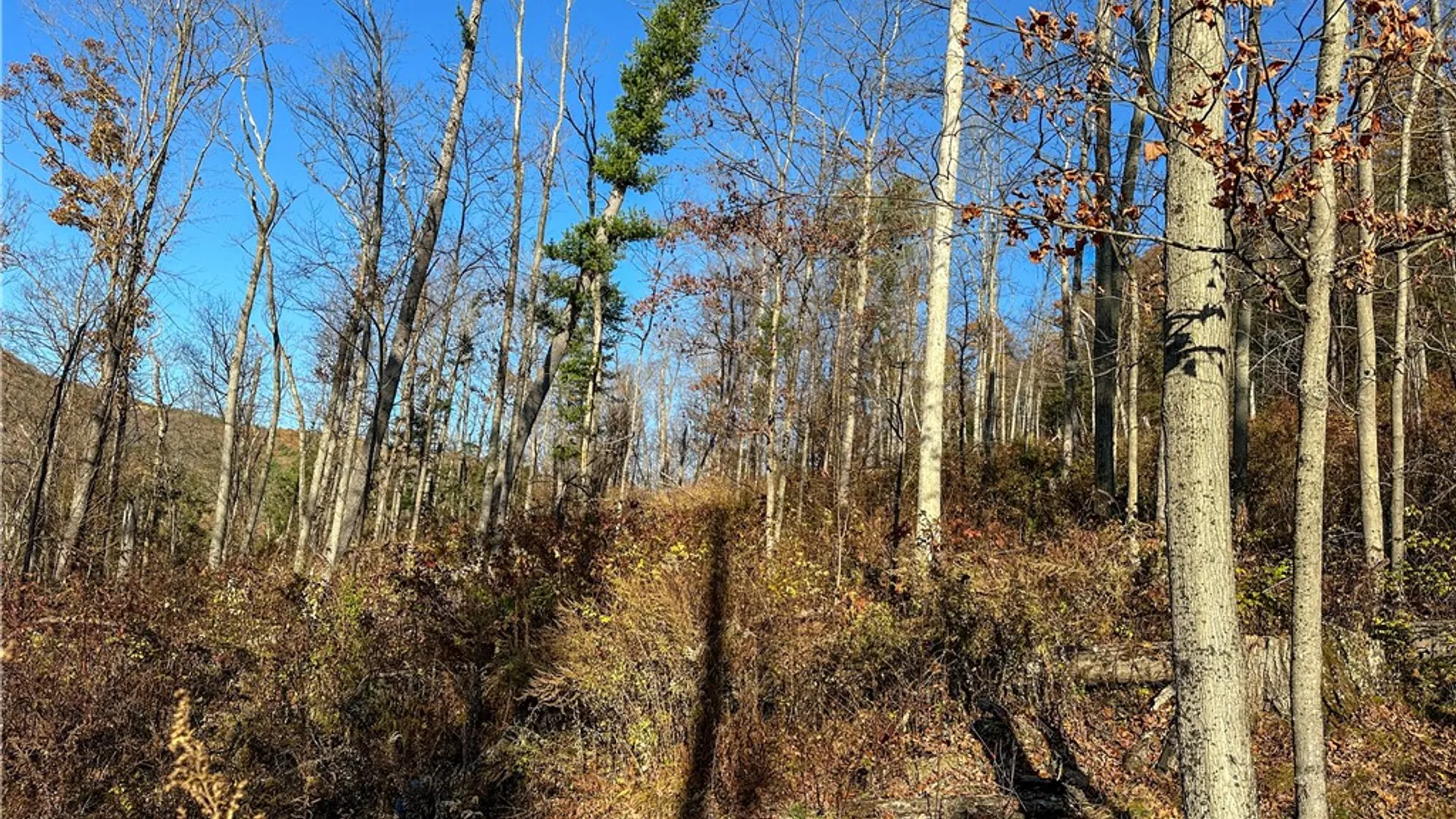 Property at VL Lot 3 Oregon Rd, Canisteo, NY 14823 19