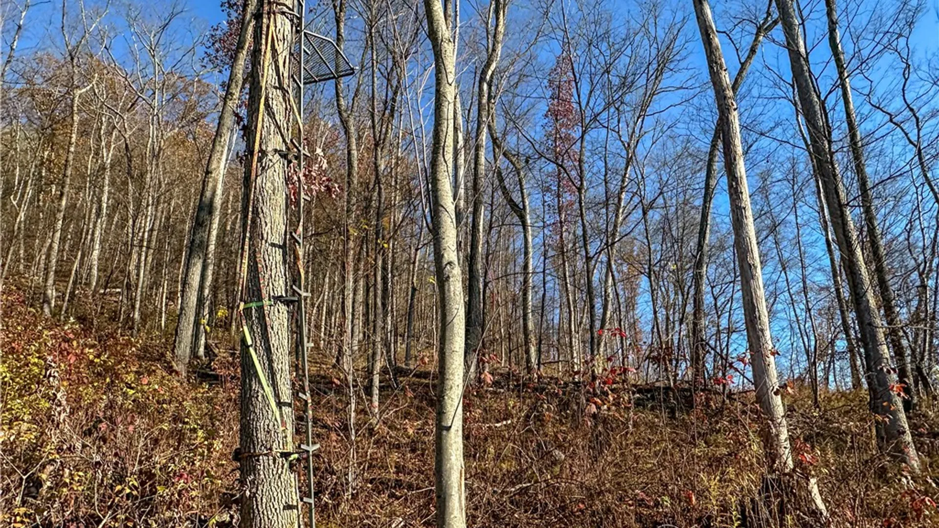 Property at VL Lot 3 Oregon Rd, Canisteo, NY 14823 20