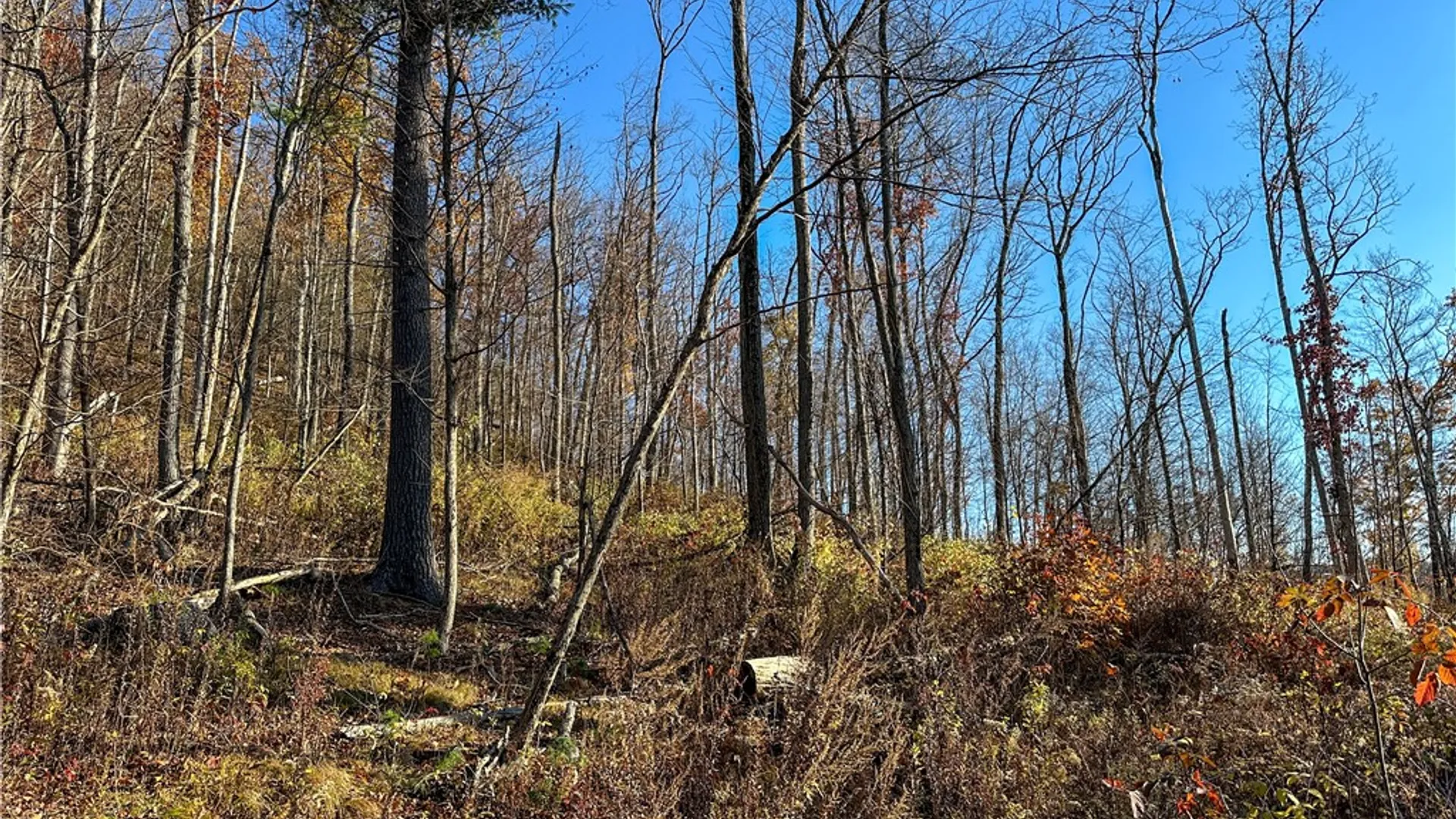 Property at VL Lot 3 Oregon Rd, Canisteo, NY 14823 21