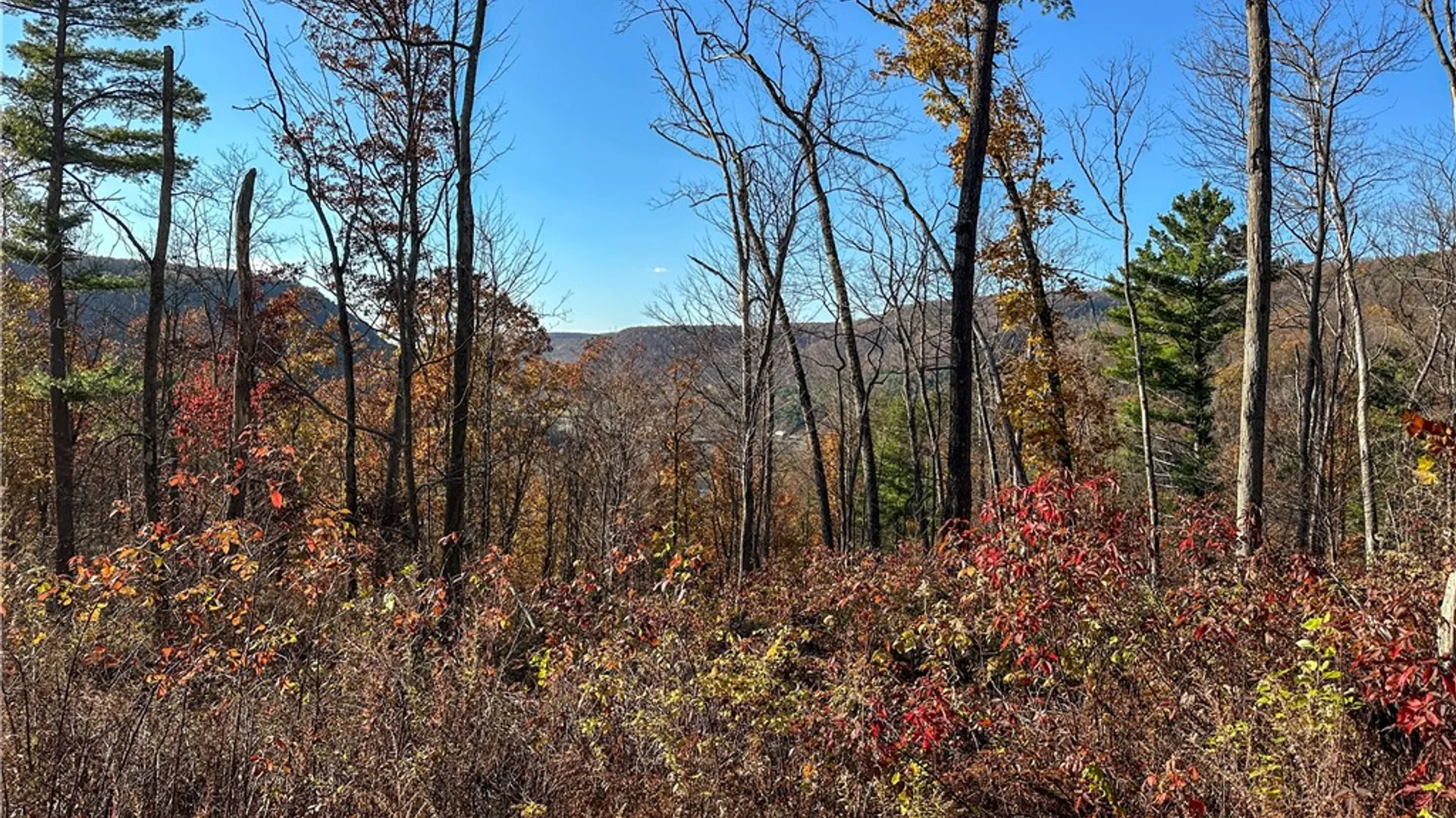 Property at VL Lot 3 Oregon Rd, Canisteo, NY 14823 22