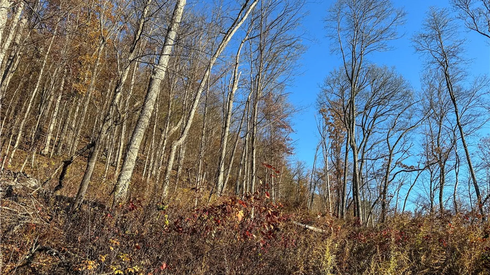 Property at VL Lot 3 Oregon Rd, Canisteo, NY 14823 23