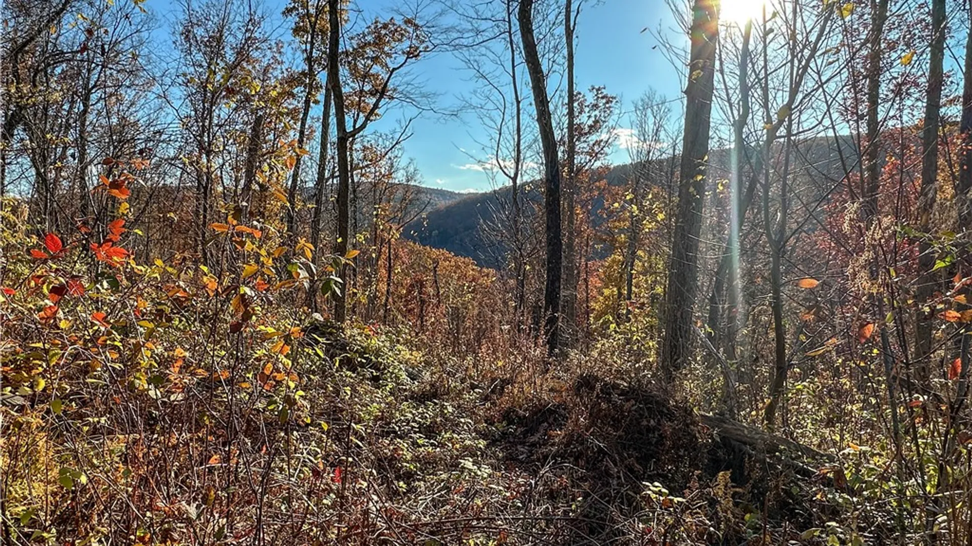 Property at VL Lot 3 Oregon Rd, Canisteo, NY 14823 24