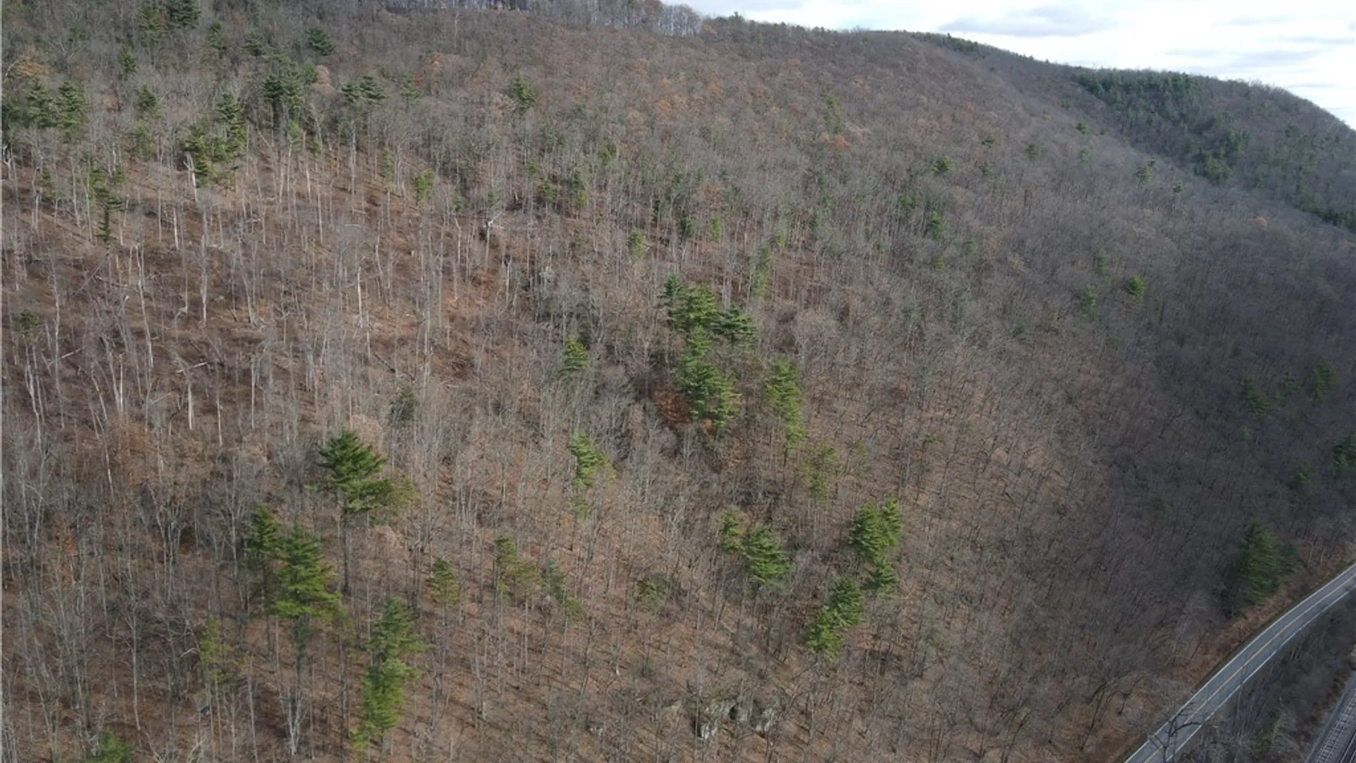 Property at VL Lot 3 Oregon Rd, Canisteo, NY 14823 26