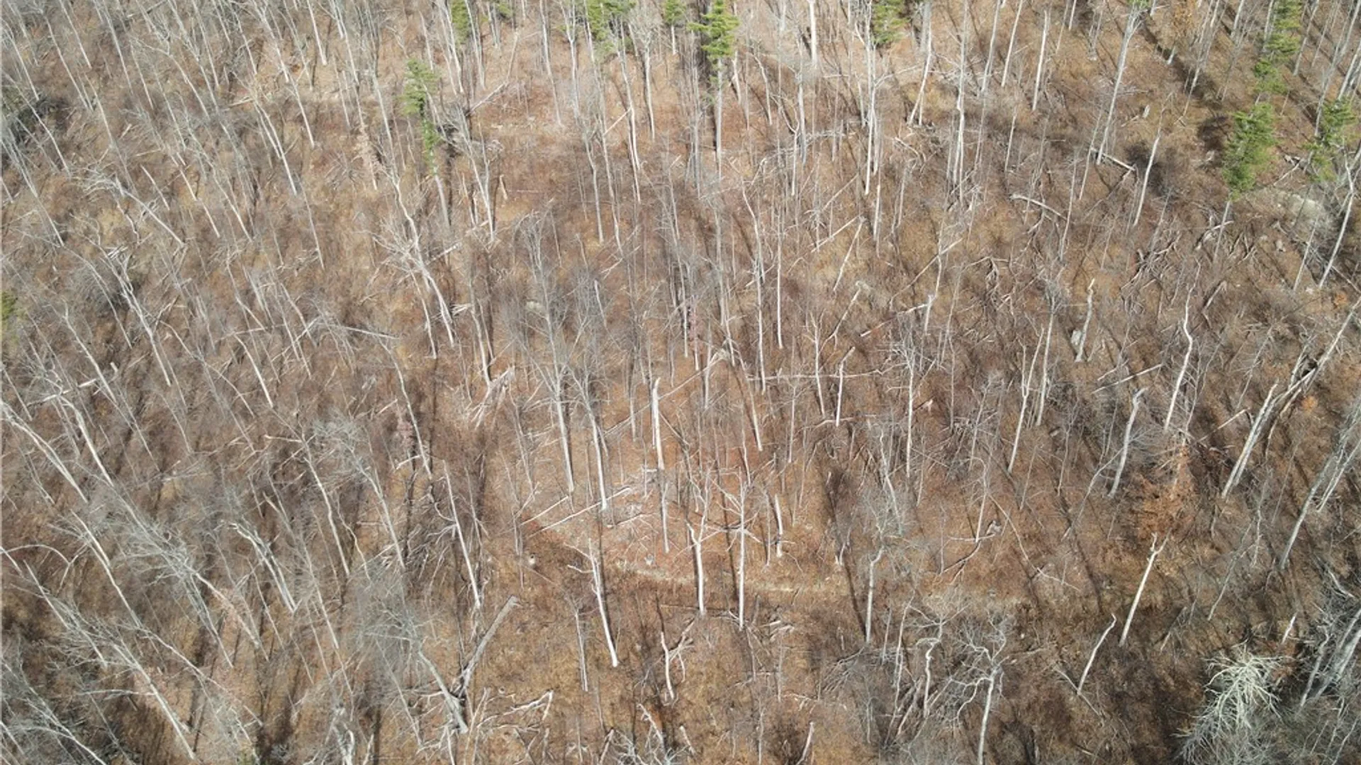 Property at VL Lot 3 Oregon Rd, Canisteo, NY 14823 27