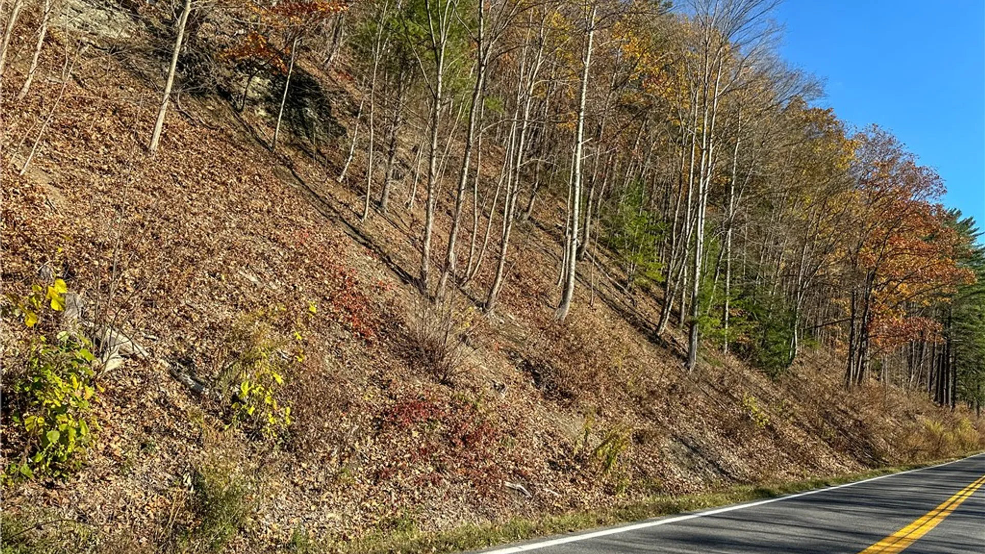 Property at VL Lot 3 Oregon Rd, Canisteo, NY 14823 3