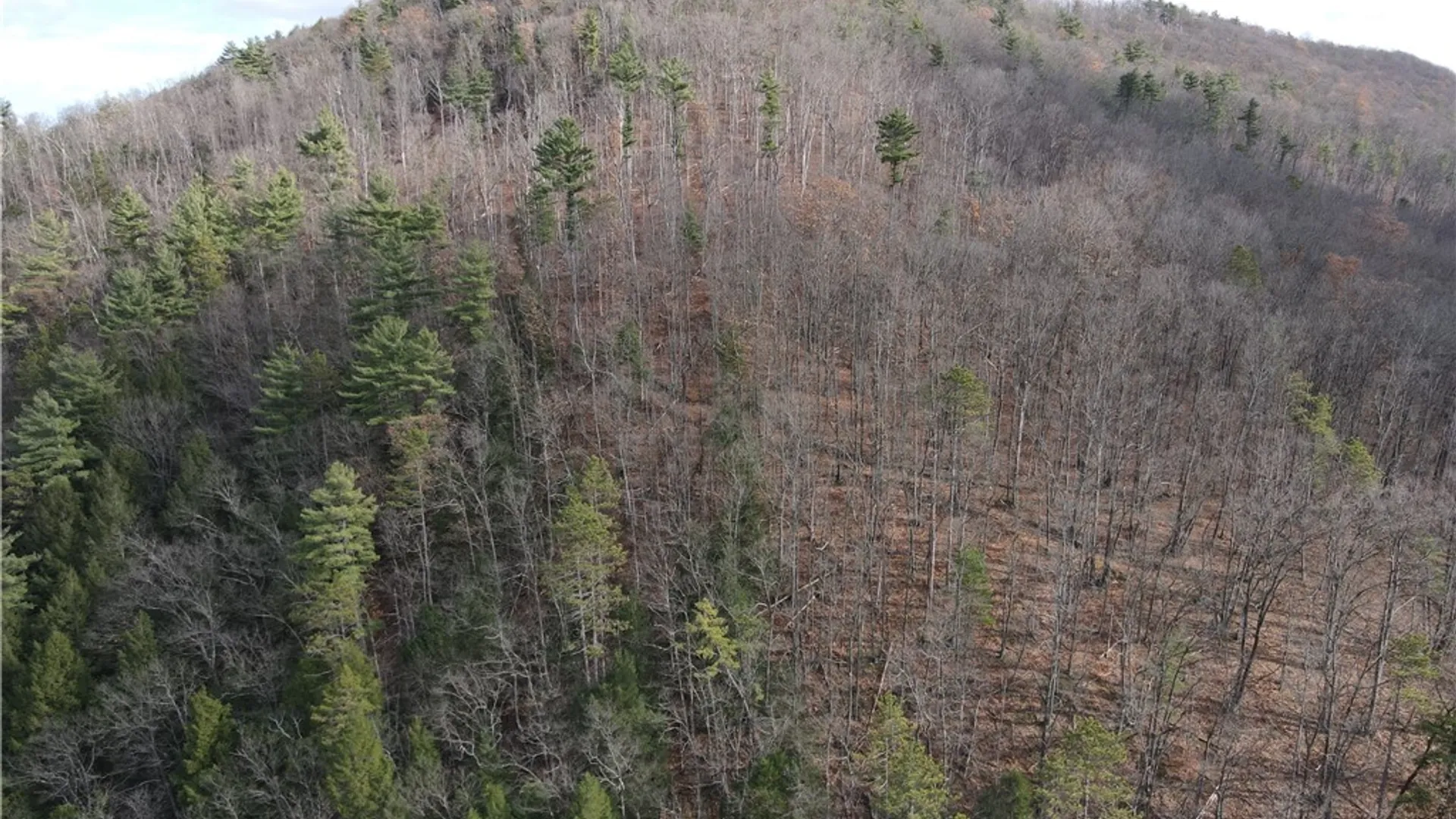 Property at VL Lot 3 Oregon Rd, Canisteo, NY 14823 30