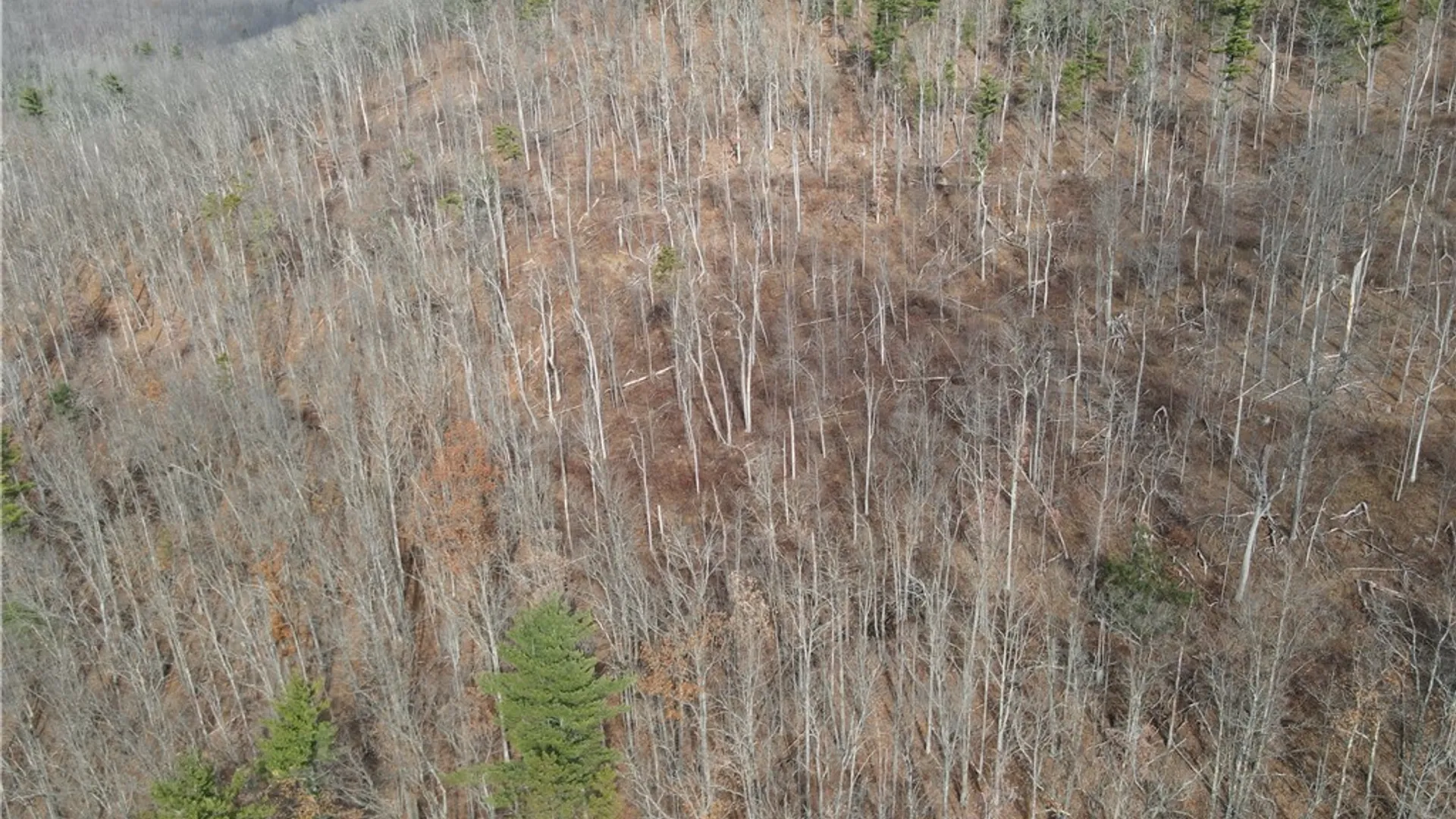 Property at VL Lot 3 Oregon Rd, Canisteo, NY 14823 31