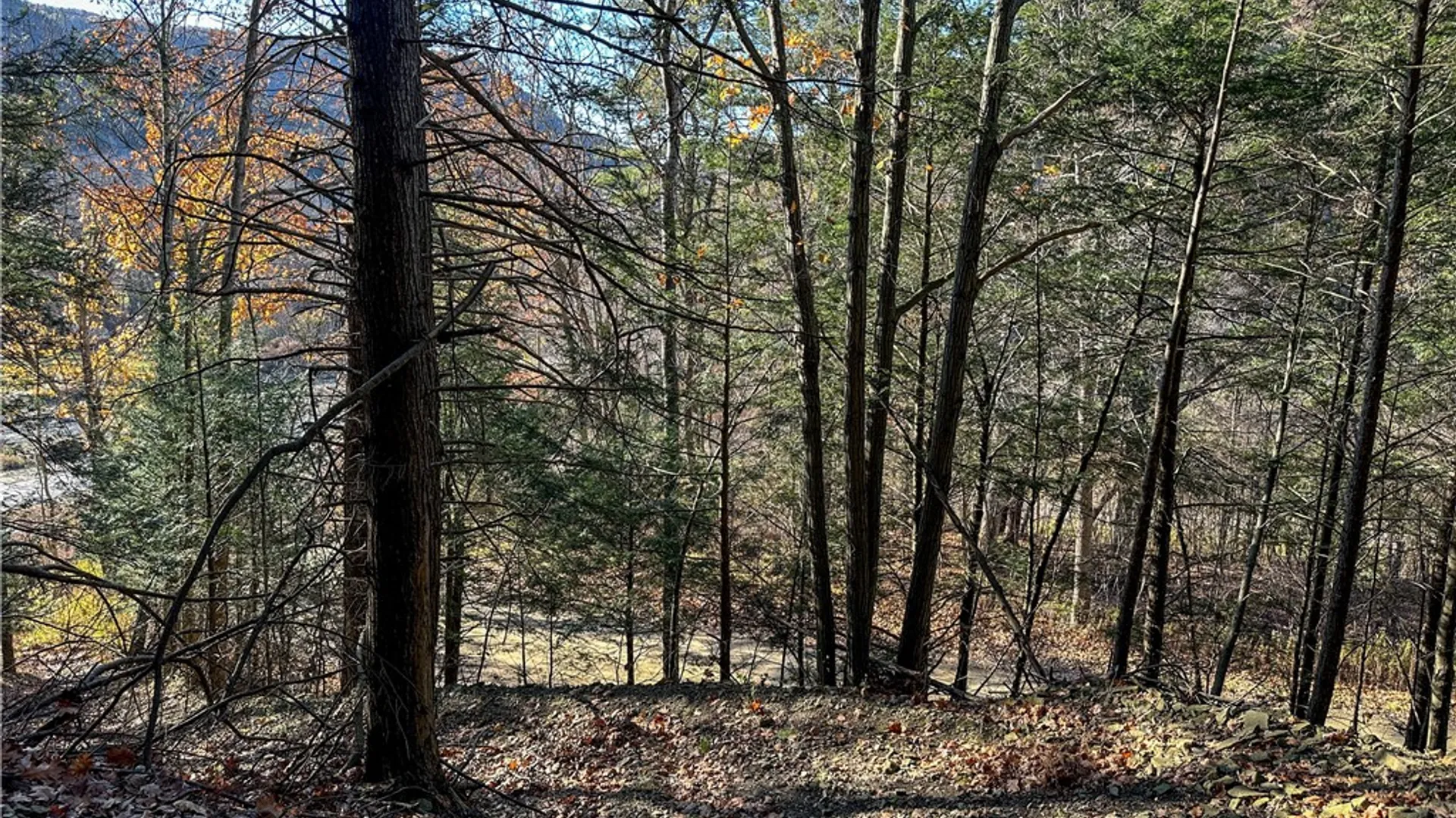 Property at VL Lot 3 Oregon Rd, Canisteo, NY 14823 5