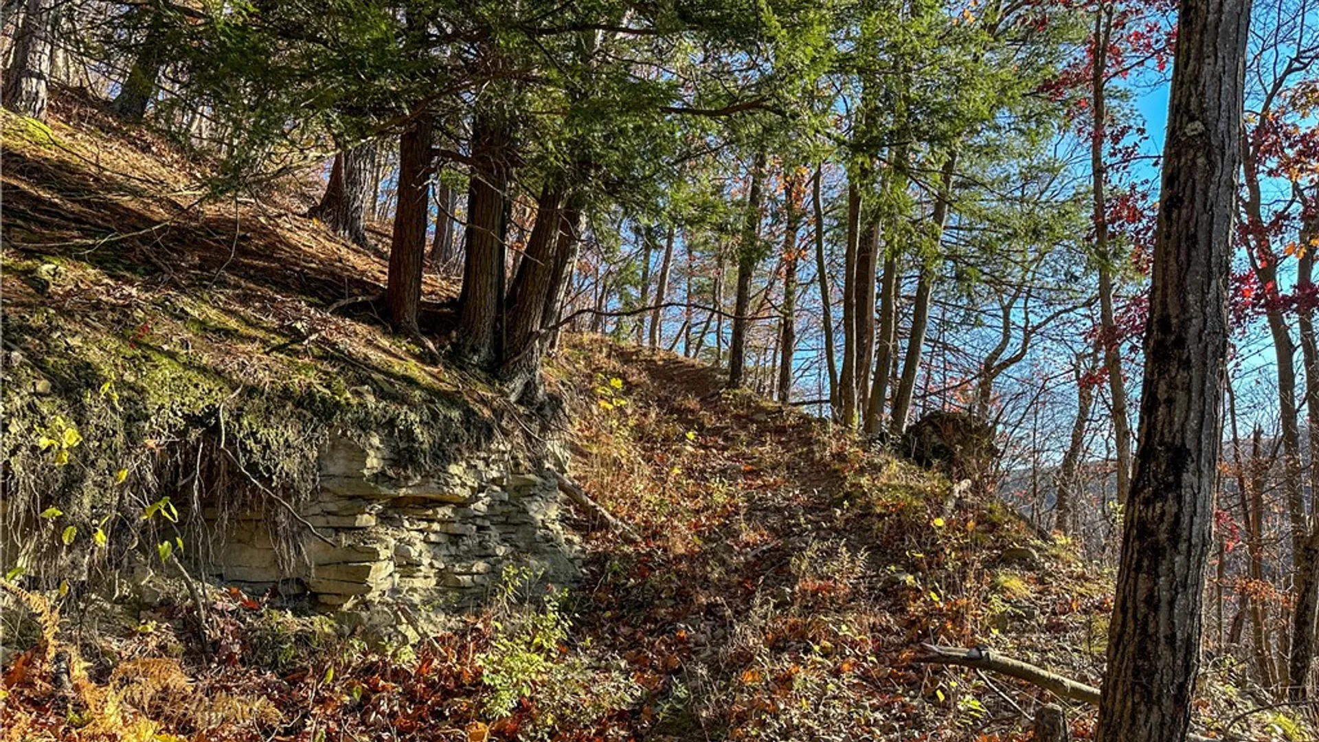 Property at VL Lot 3 Oregon Rd, Canisteo, NY 14823 6
