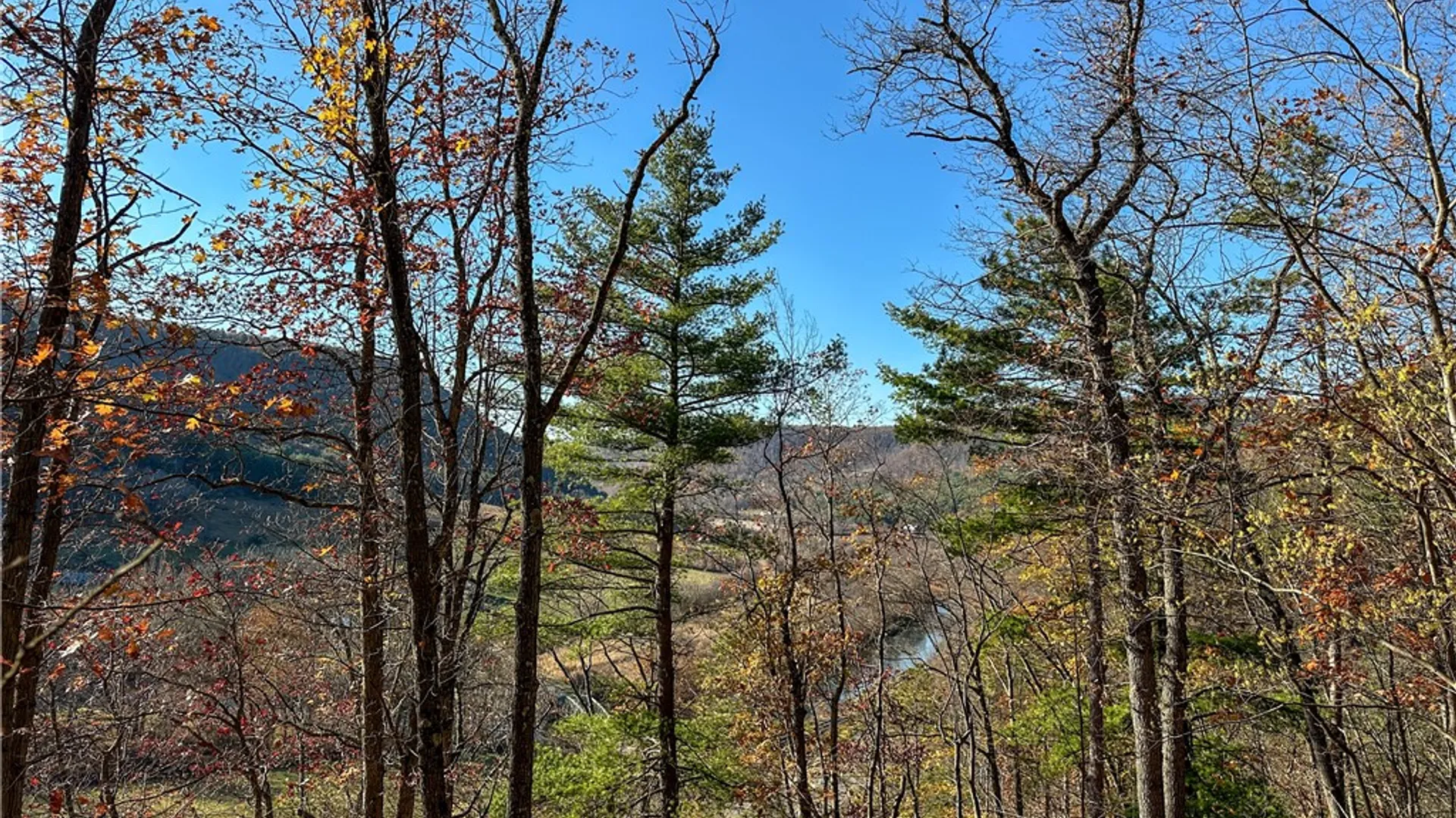 Property at VL Lot 3 Oregon Rd, Canisteo, NY 14823 7