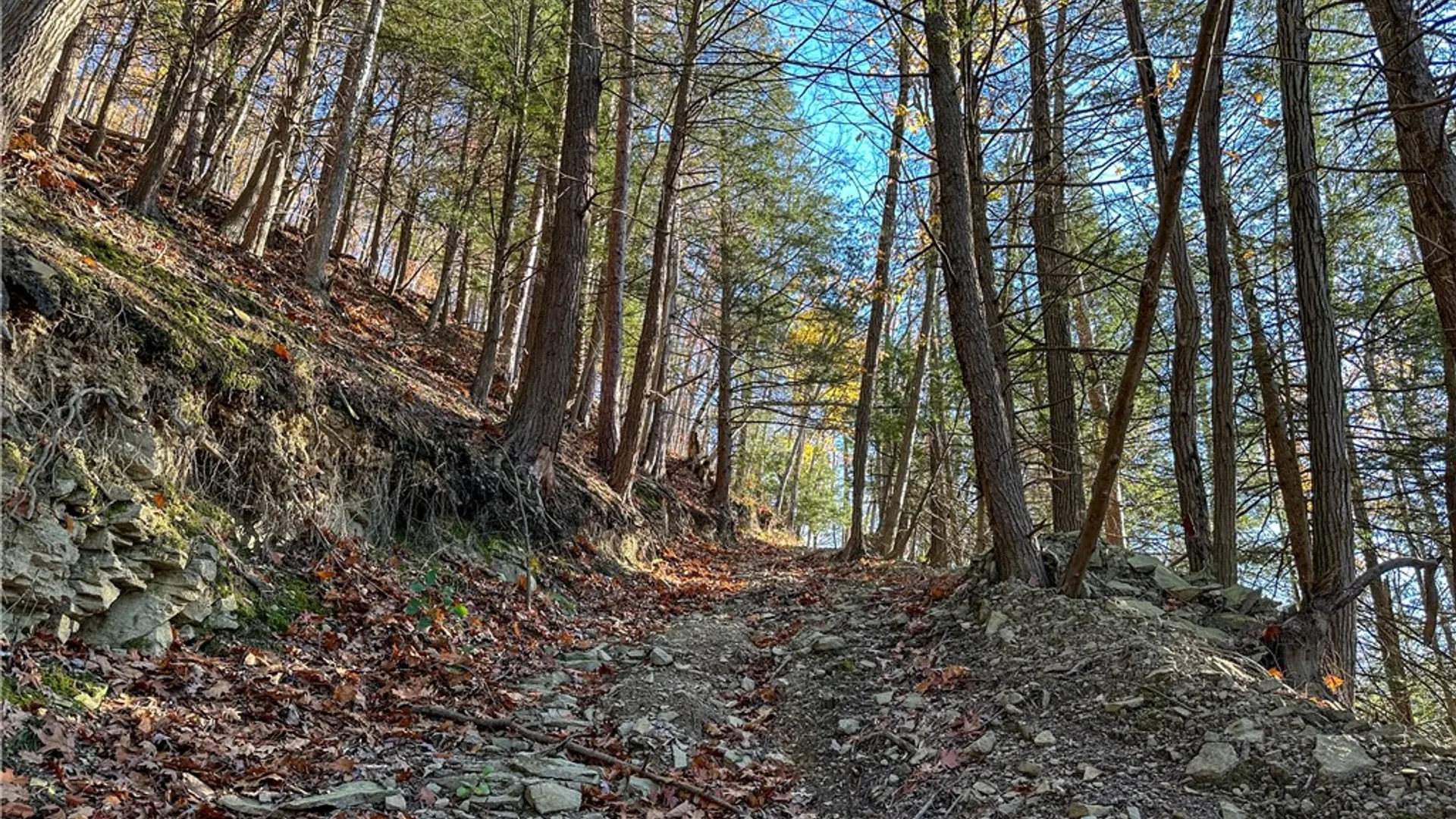 Property at VL Lot 3 Oregon Rd, Canisteo, NY 14823 8