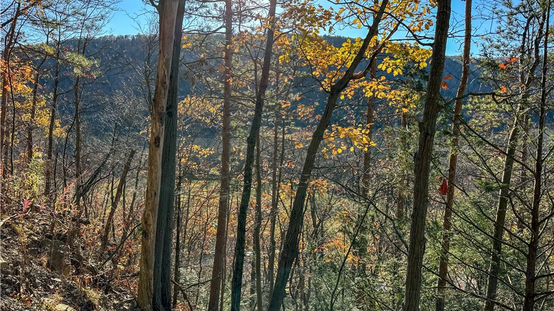 Property at VL Lot 3 Oregon Rd, Canisteo, NY 14823 9