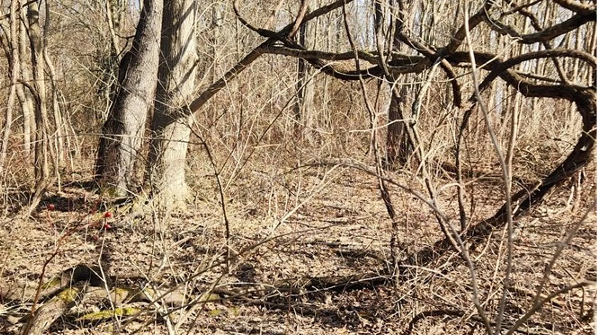 Property at 7042 Garner Road, Huron, NY 14590 10