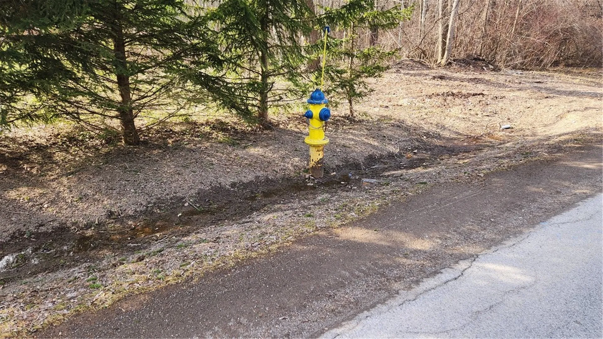 Property at 7042 Garner Road, Huron, NY 14590 3