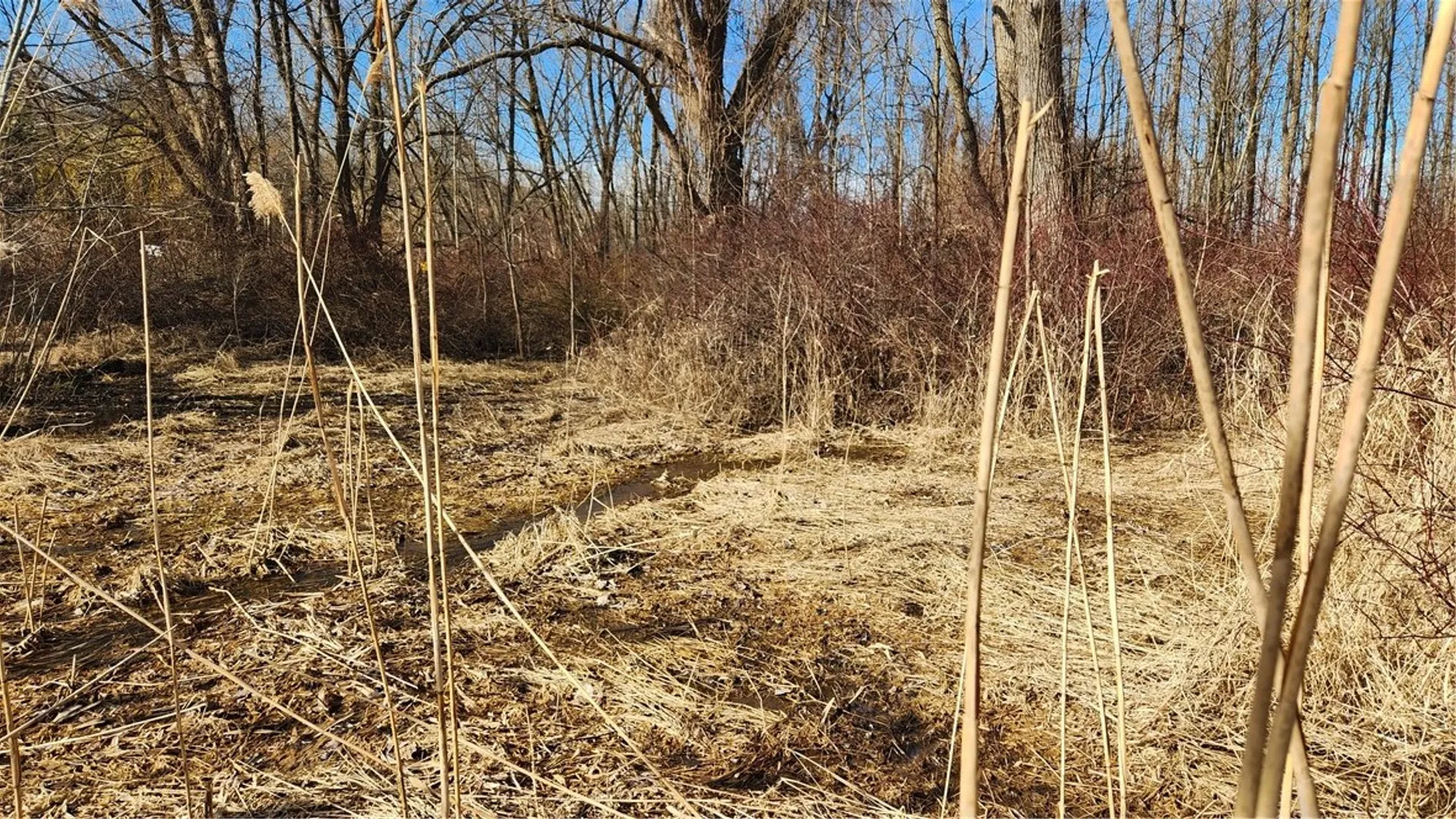 Property at 7042 Garner Road, Huron, NY 14590 4