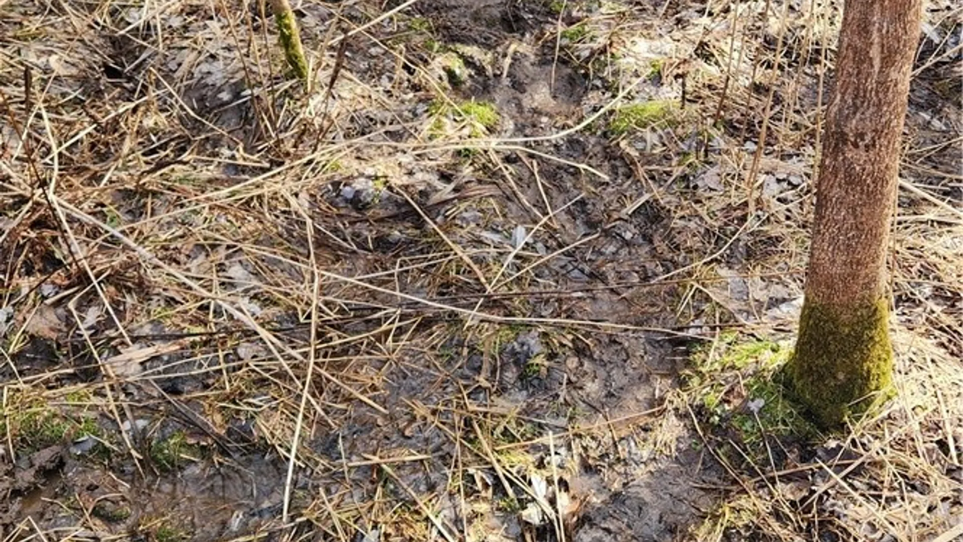 Property at 7042 Garner Road, Huron, NY 14590 5