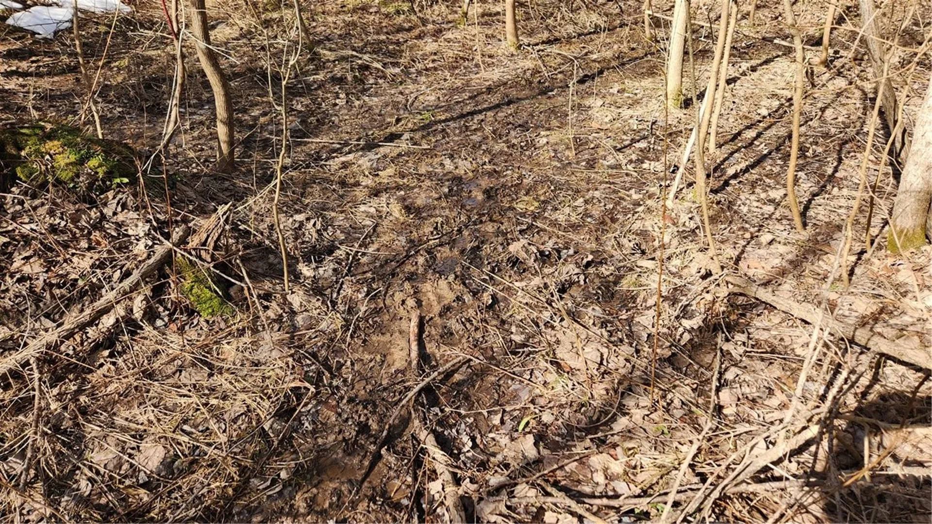 Property at 7042 Garner Road, Huron, NY 14590 7