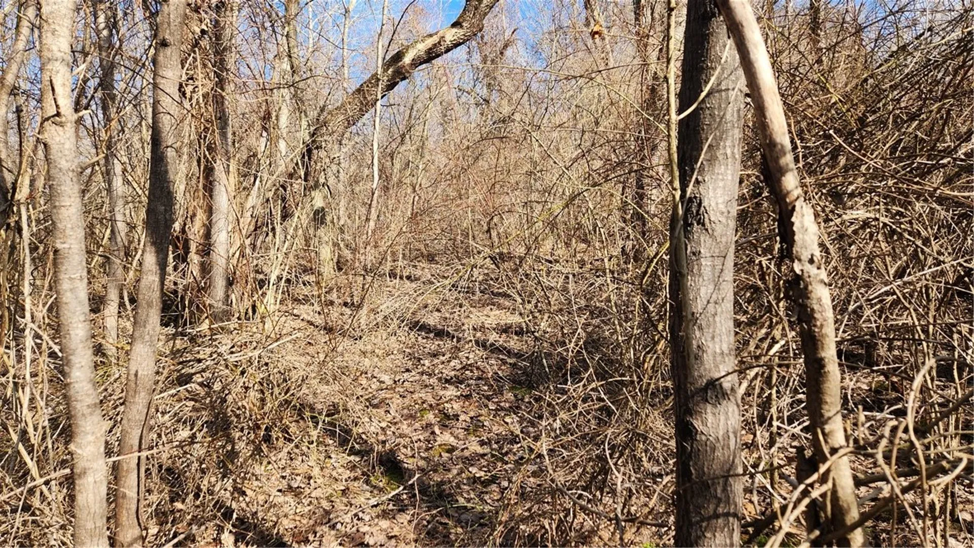 Property at 7042 Garner Road, Huron, NY 14590 8