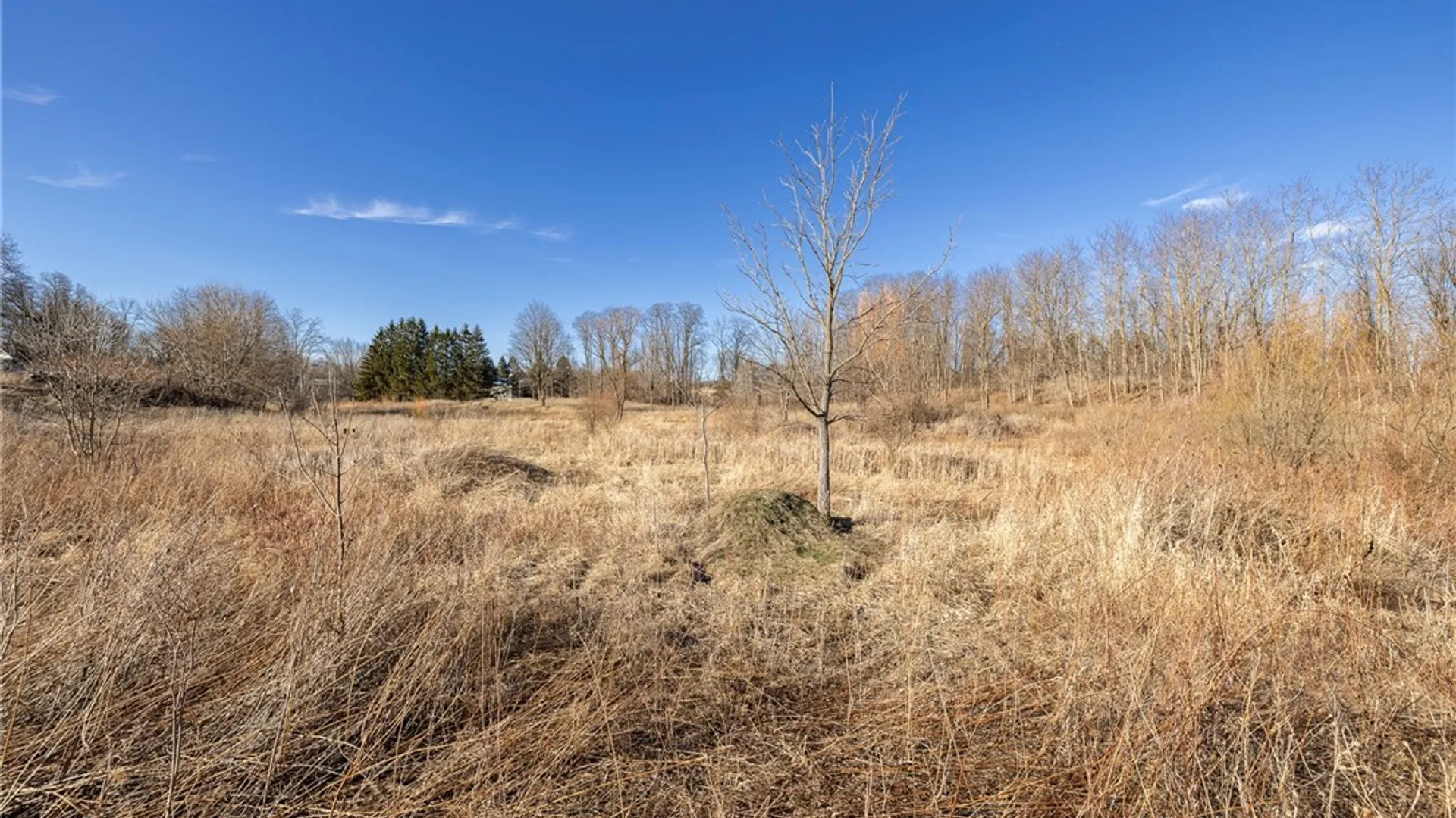 Property at Cramer Road, Canandaigua Town, NY 14424 5