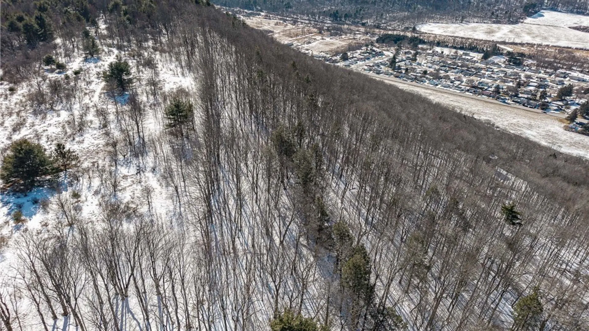 Property at Nys Route 414, Catlin, NY 14902 10