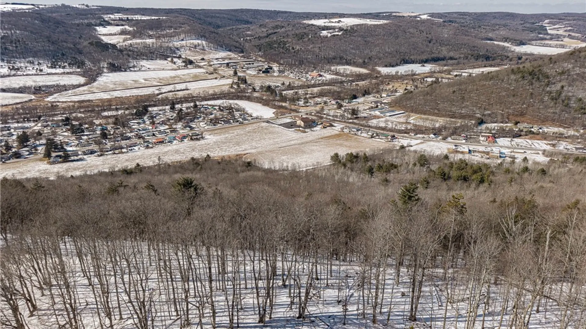 Property at Nys Route 414, Catlin, NY 14902 11