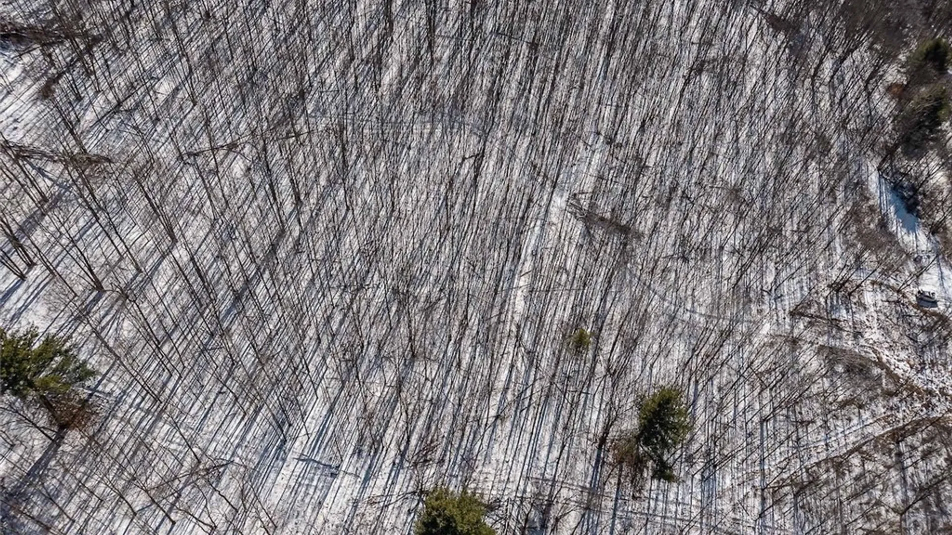 Property at Nys Route 414, Catlin, NY 14902 13