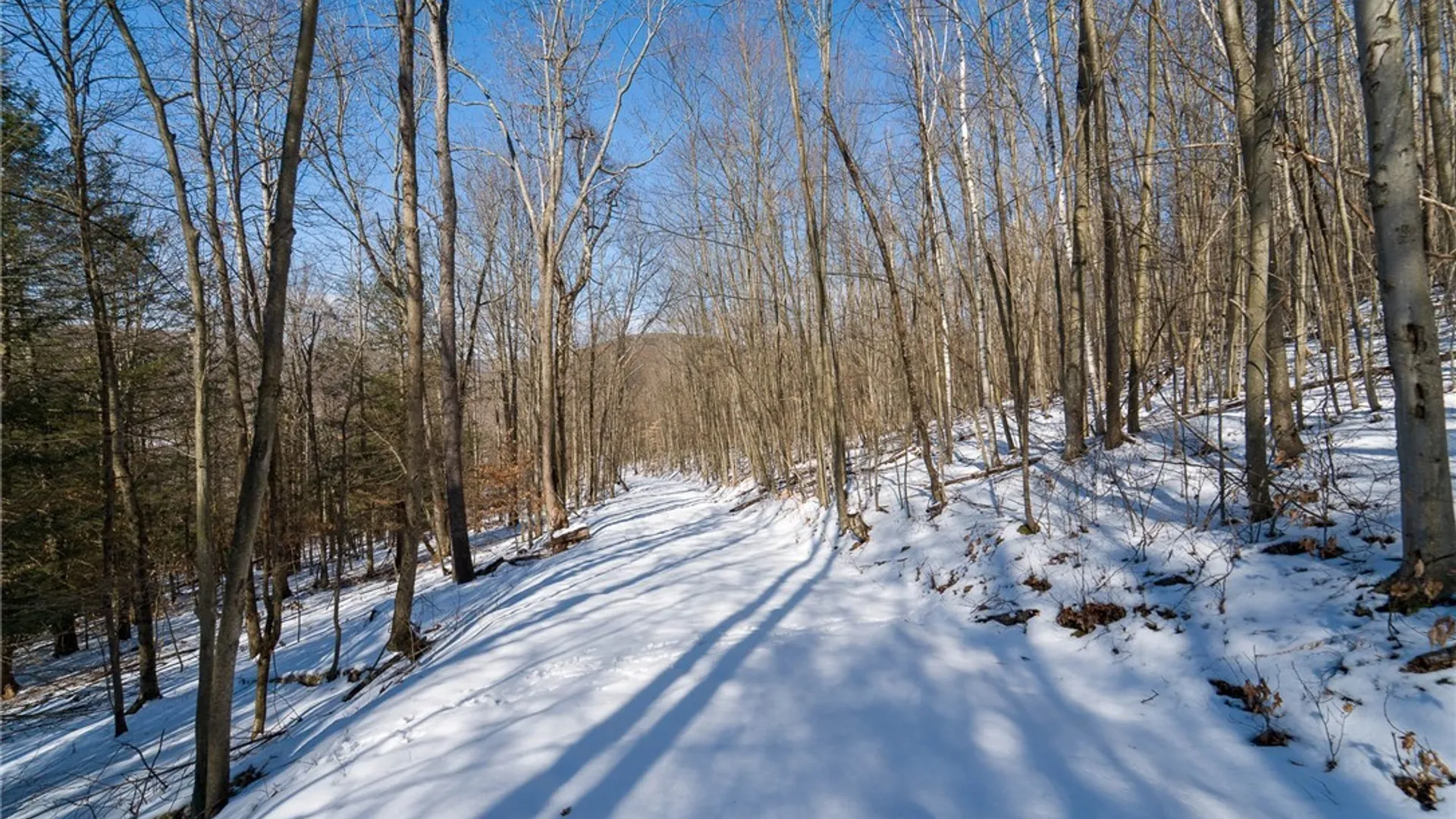 Property at Nys Route 414, Catlin, NY 14902 14