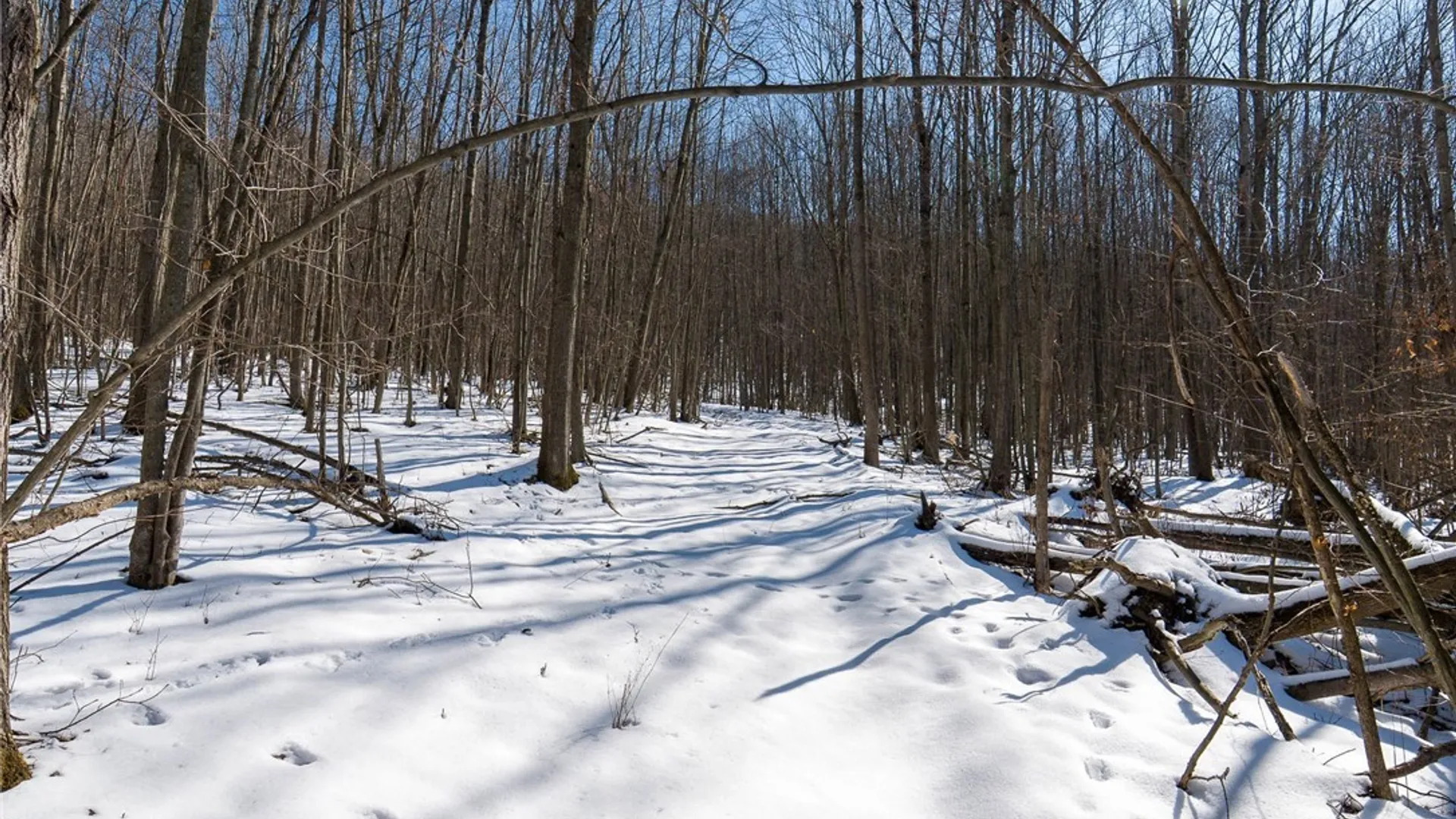 Property at Nys Route 414, Catlin, NY 14902 15