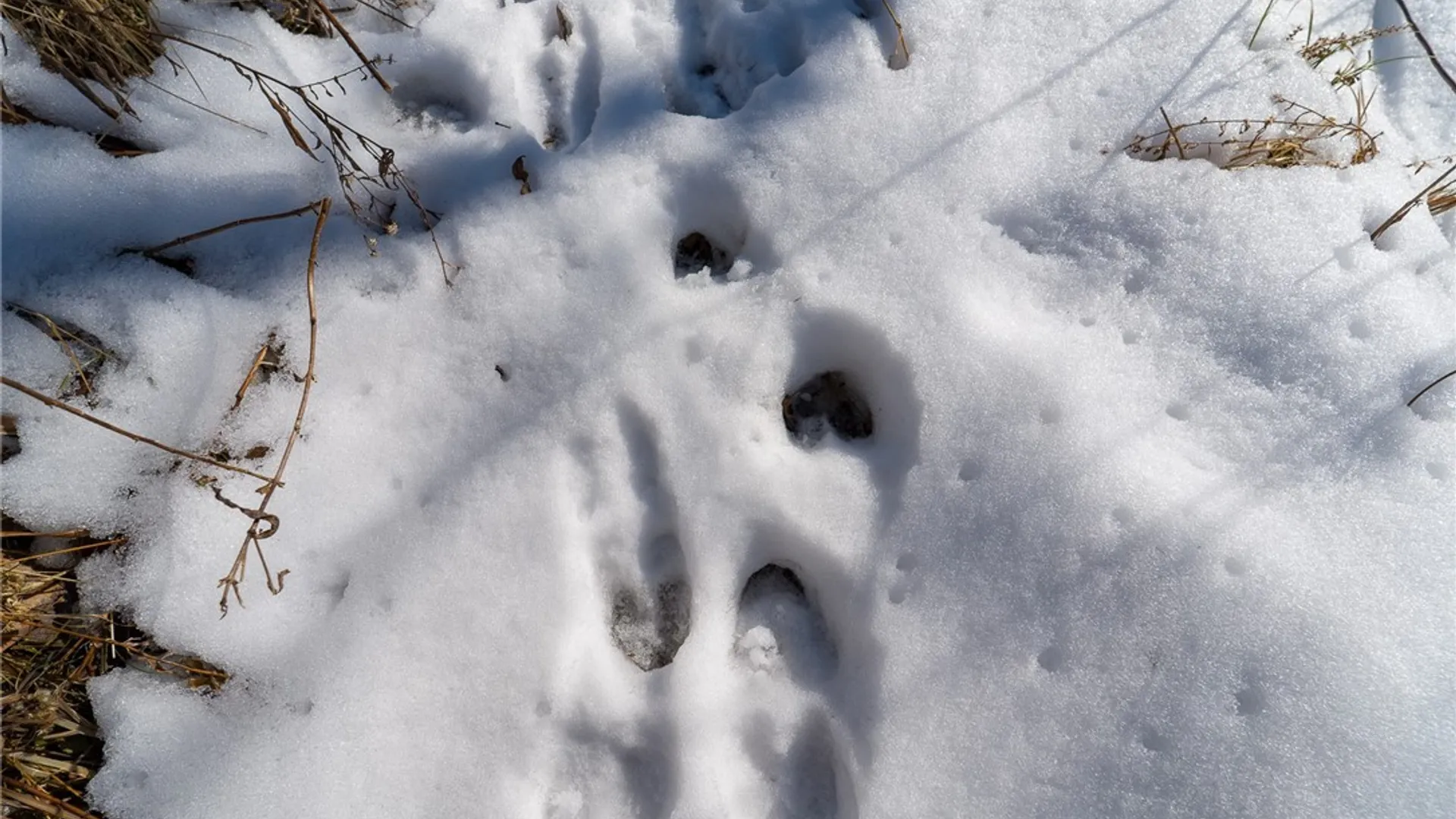 Property at Nys Route 414, Catlin, NY 14902 17