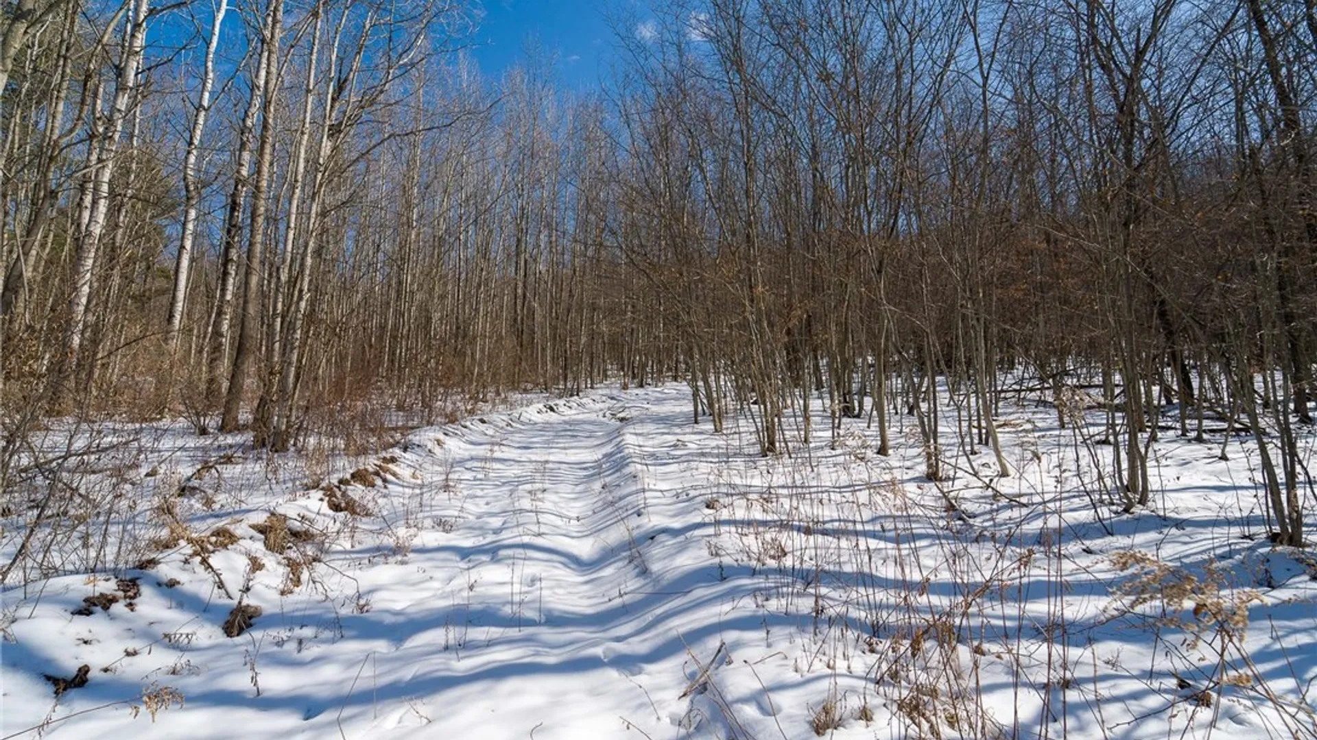 Property at Nys Route 414, Catlin, NY 14902 18