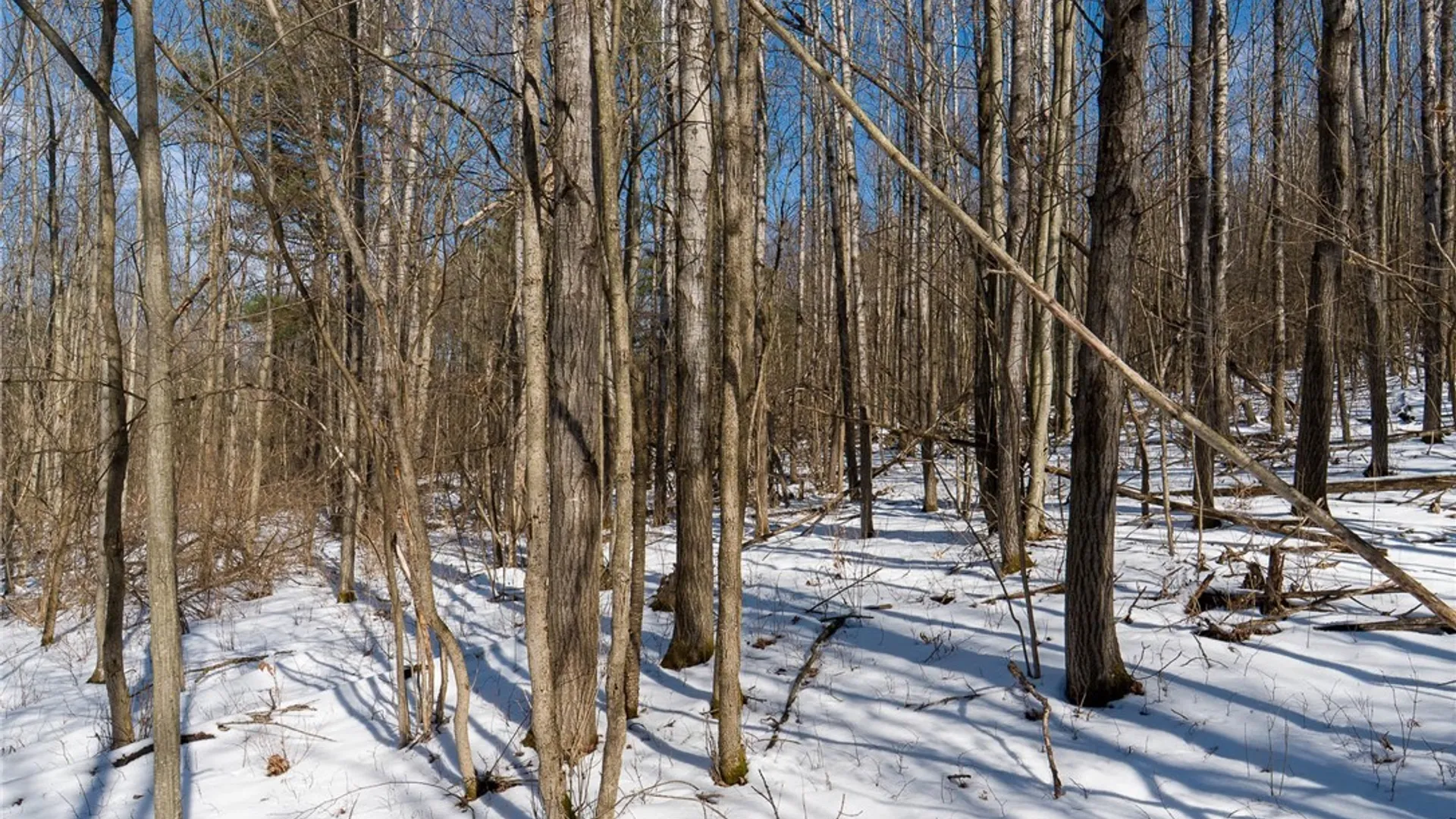 Property at Nys Route 414, Catlin, NY 14902 19