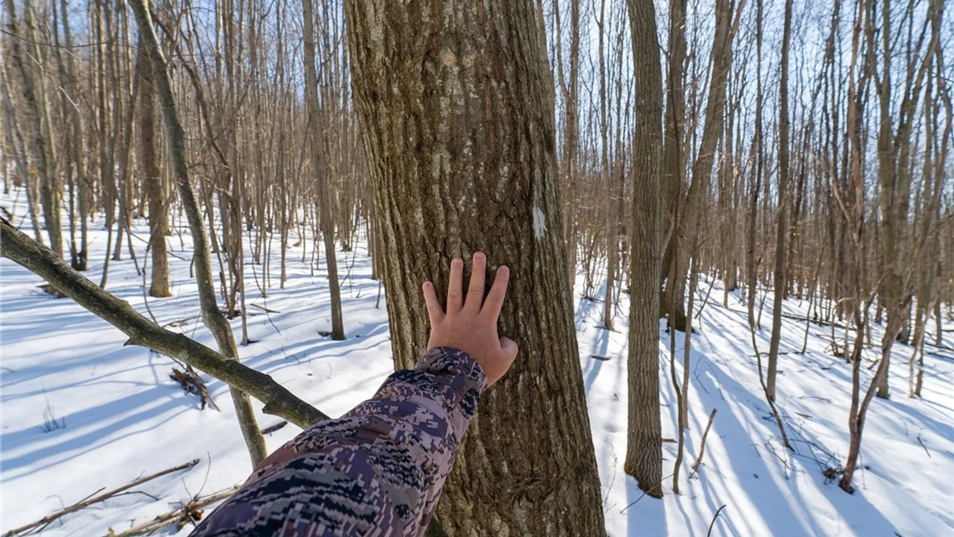 Property at Nys Route 414, Catlin, NY 14902 20