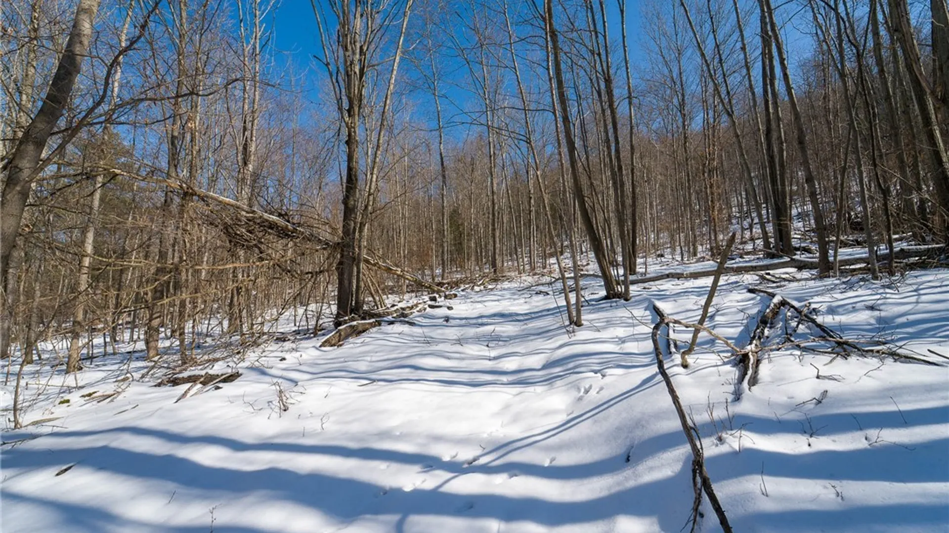 Property at Nys Route 414, Catlin, NY 14902 21