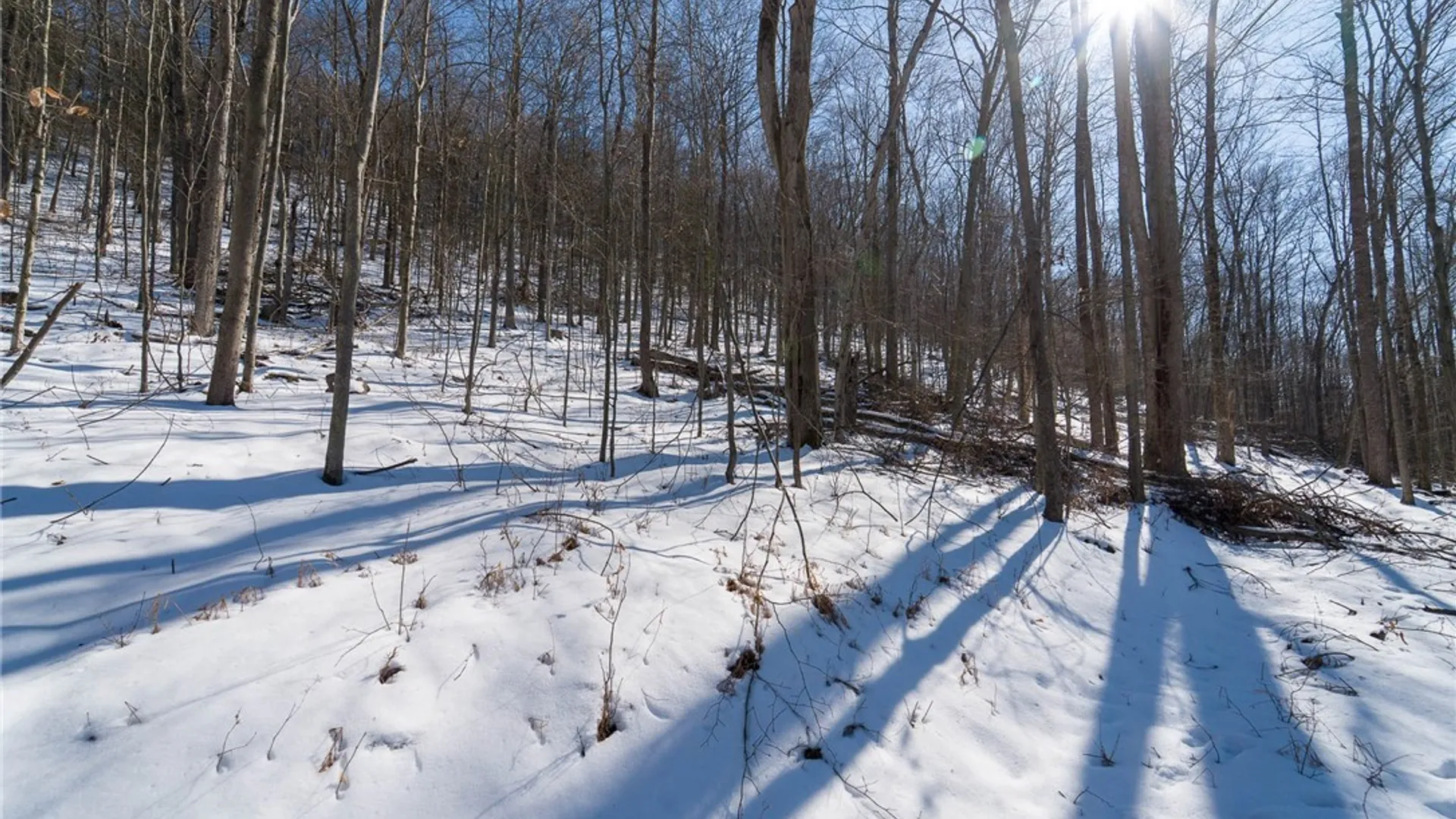 Property at Nys Route 414, Catlin, NY 14902 22