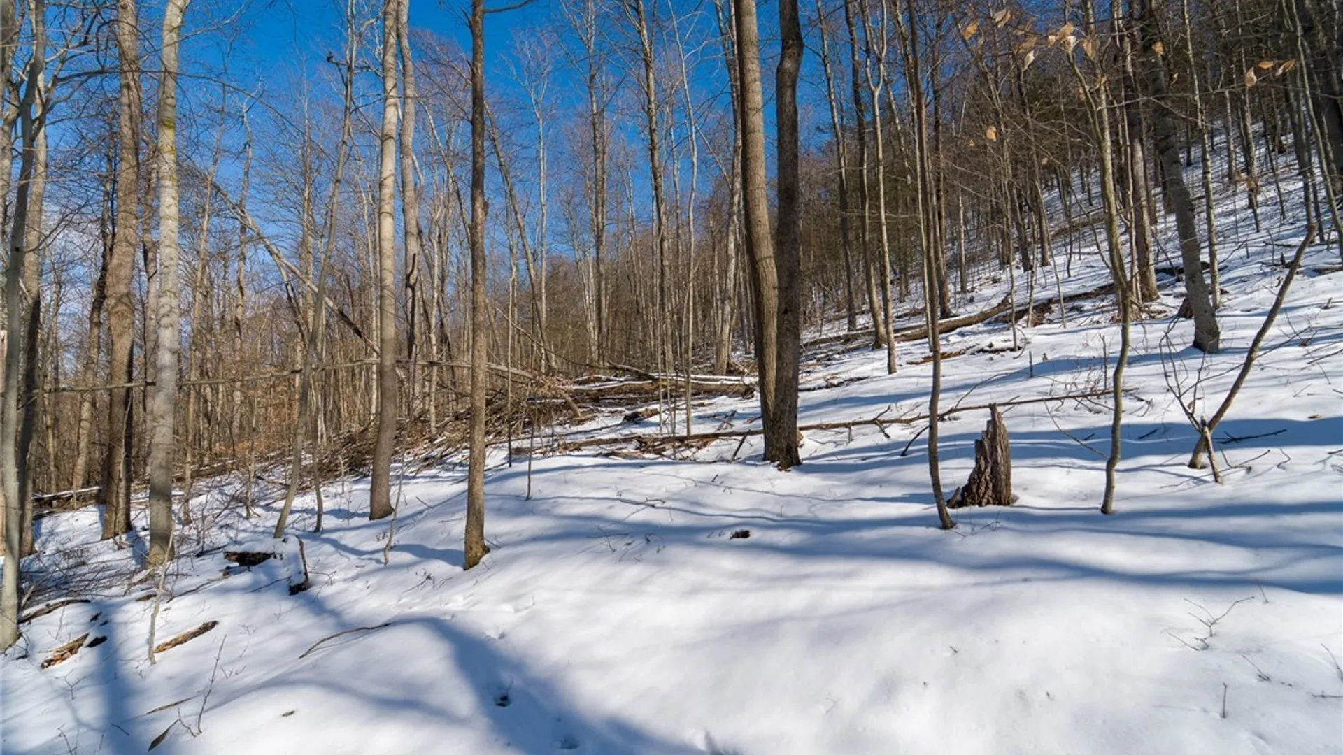 Property at Nys Route 414, Catlin, NY 14902 23