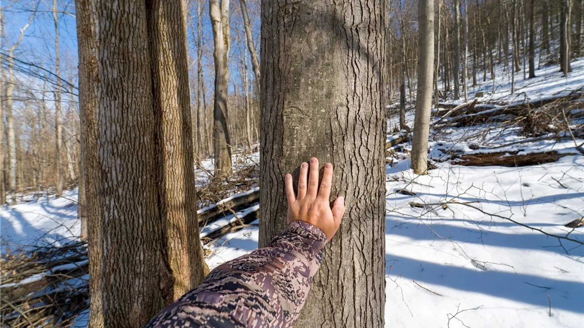 Property at Nys Route 414, Catlin, NY 14902 24