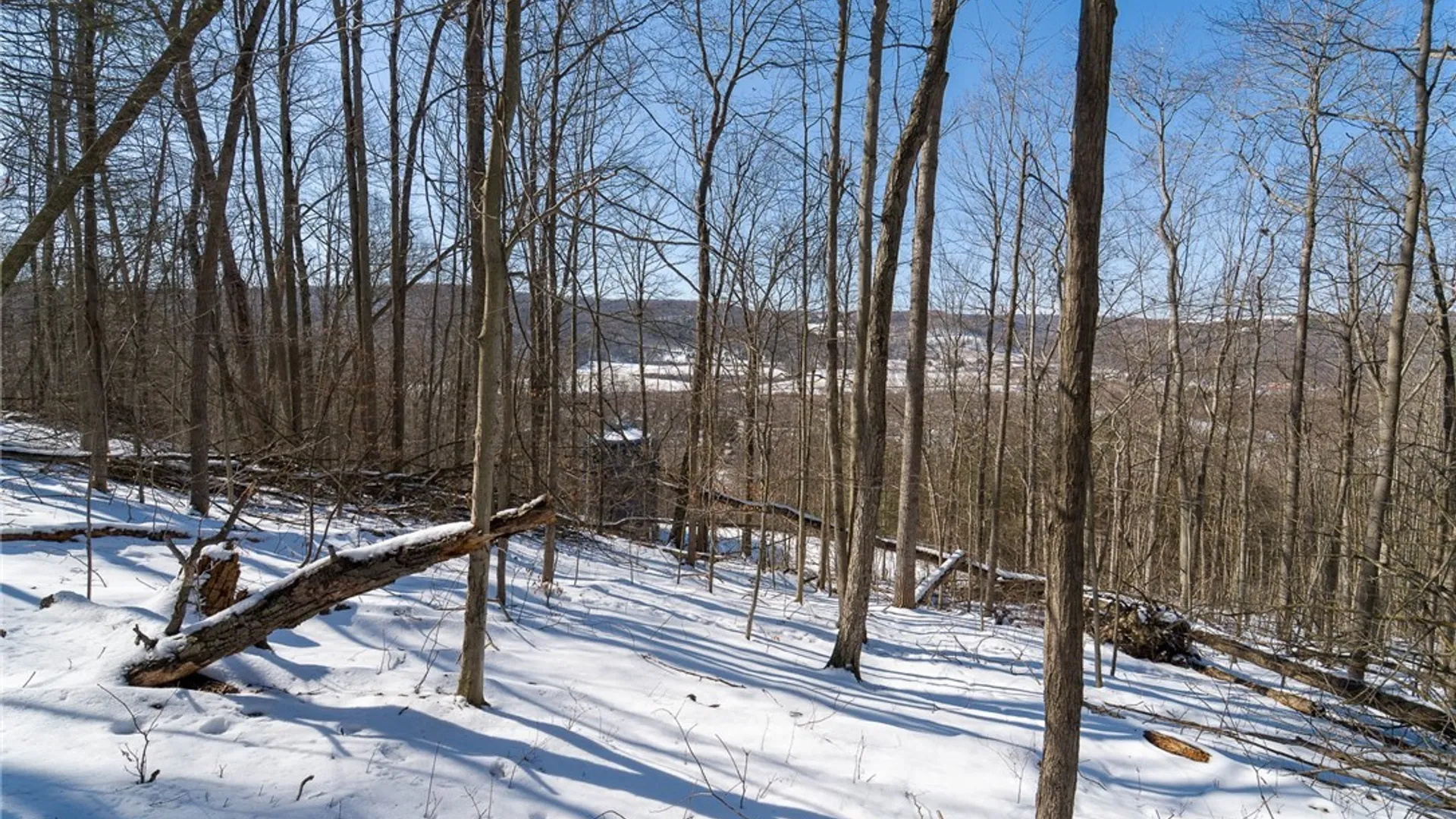 Property at Nys Route 414, Catlin, NY 14902 26