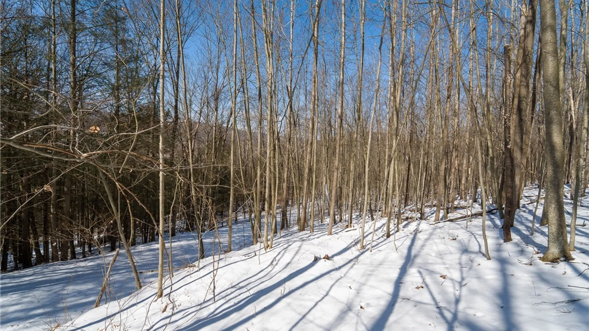 Property at Nys Route 414, Catlin, NY 14902 28